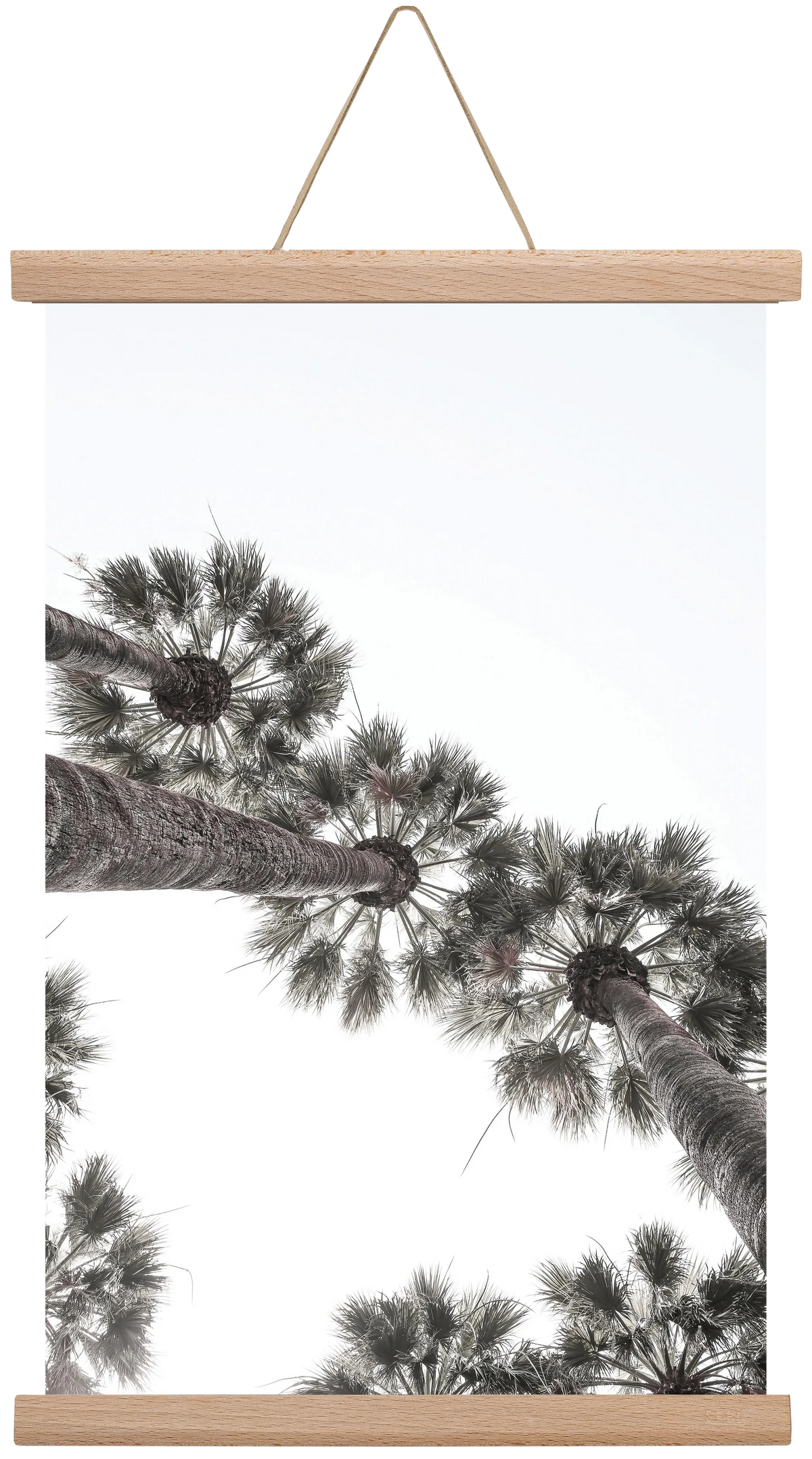 Bodrum Plams - artbridge
