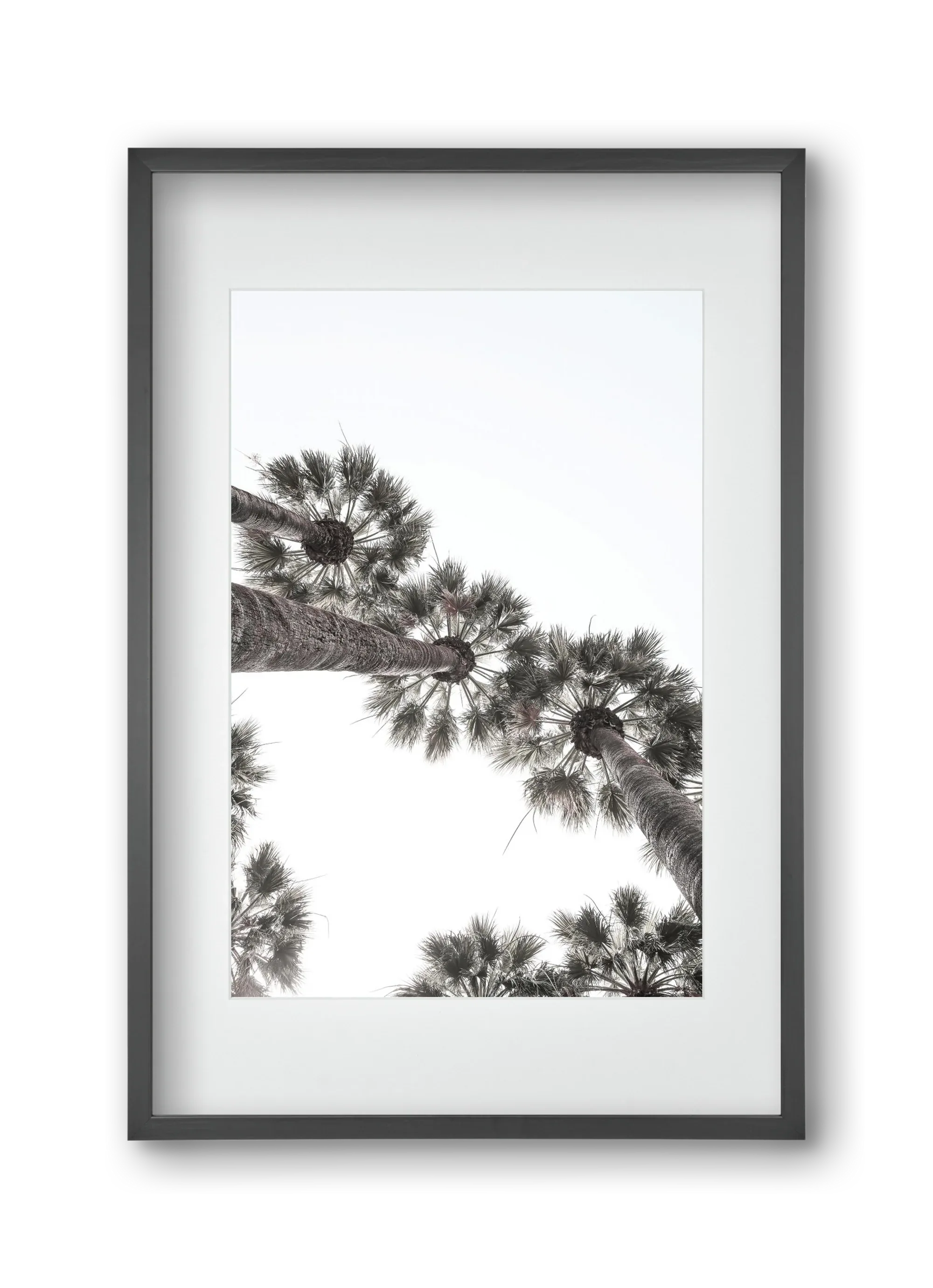 Bodrum Plams - artbridge
