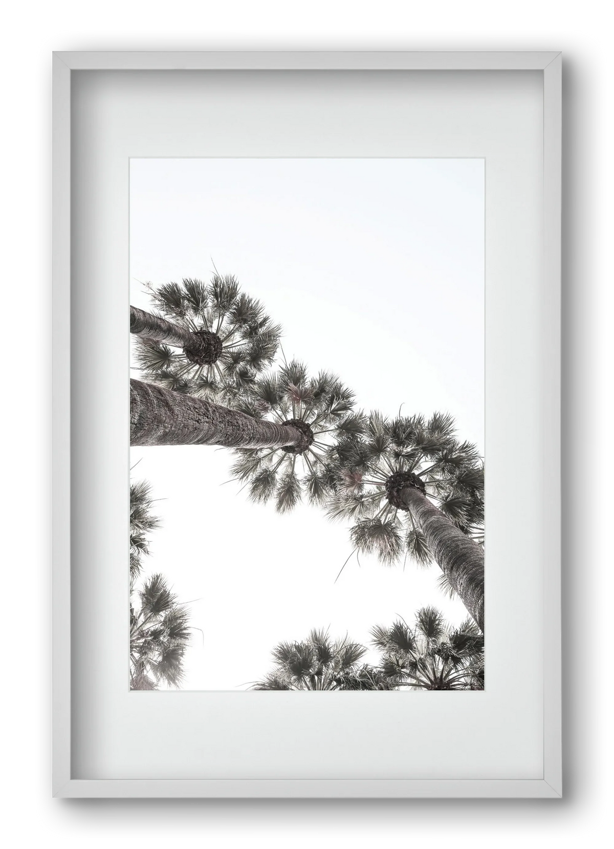 Bodrum Plams - artbridge