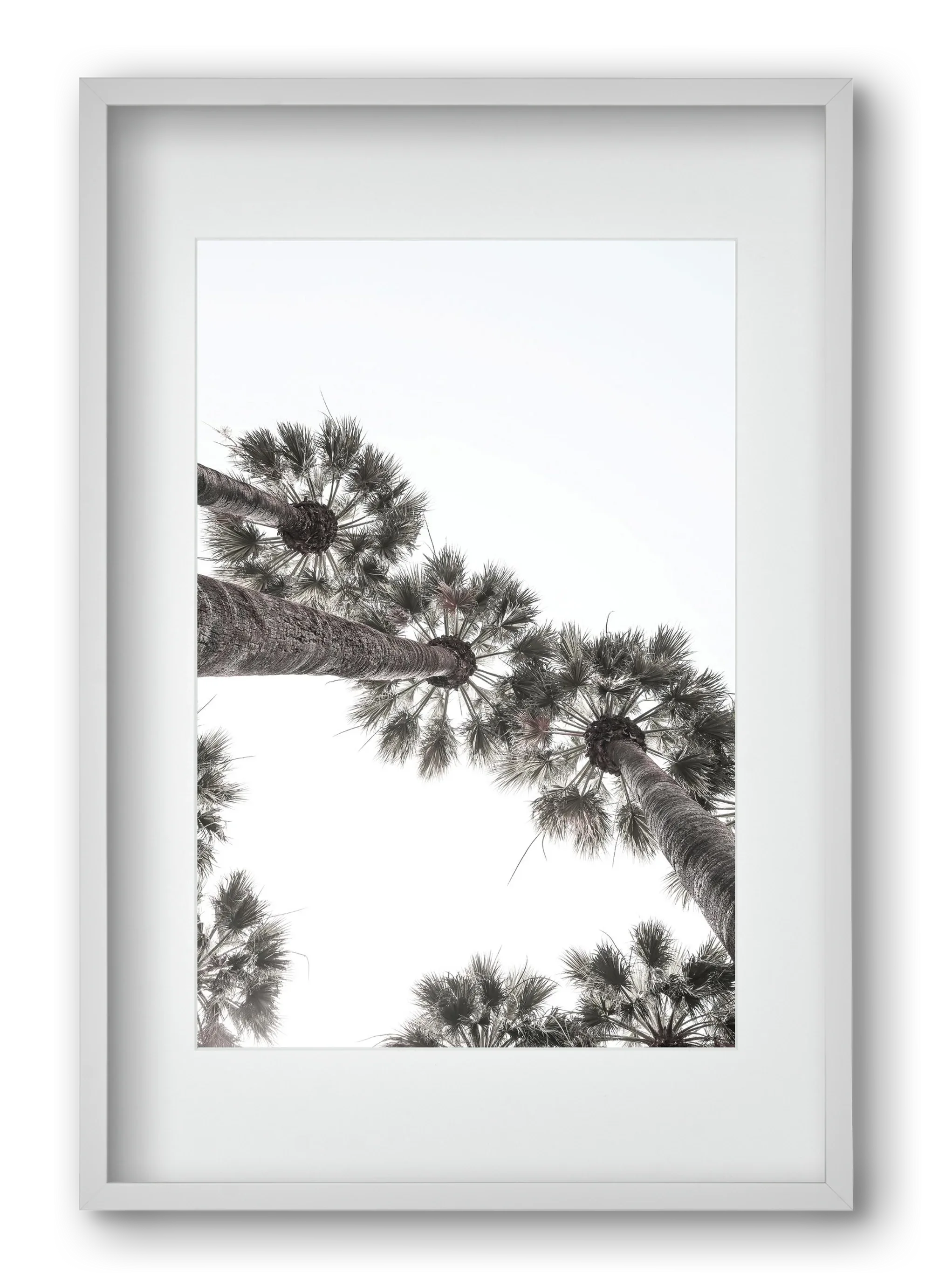 Bodrum Plams - artbridge