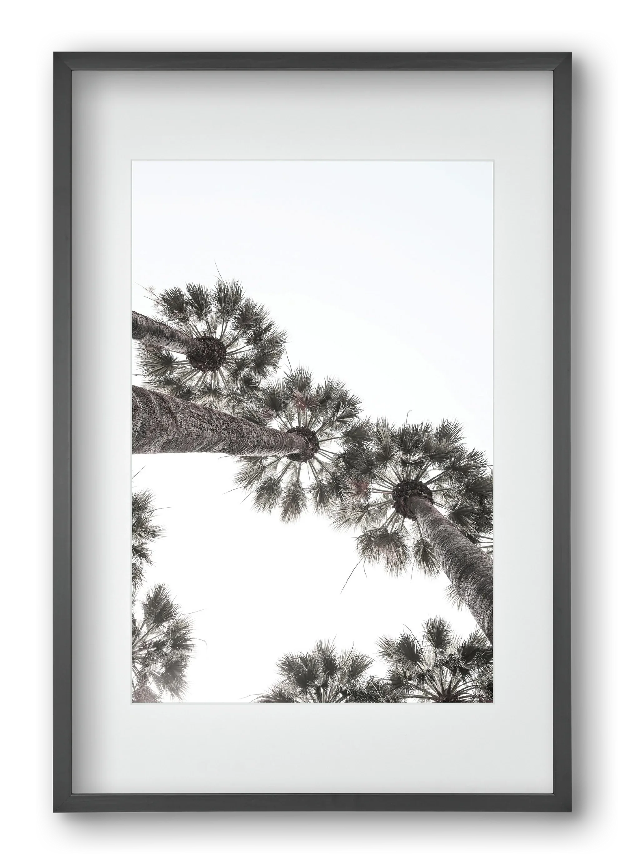 Bodrum Plams - artbridge