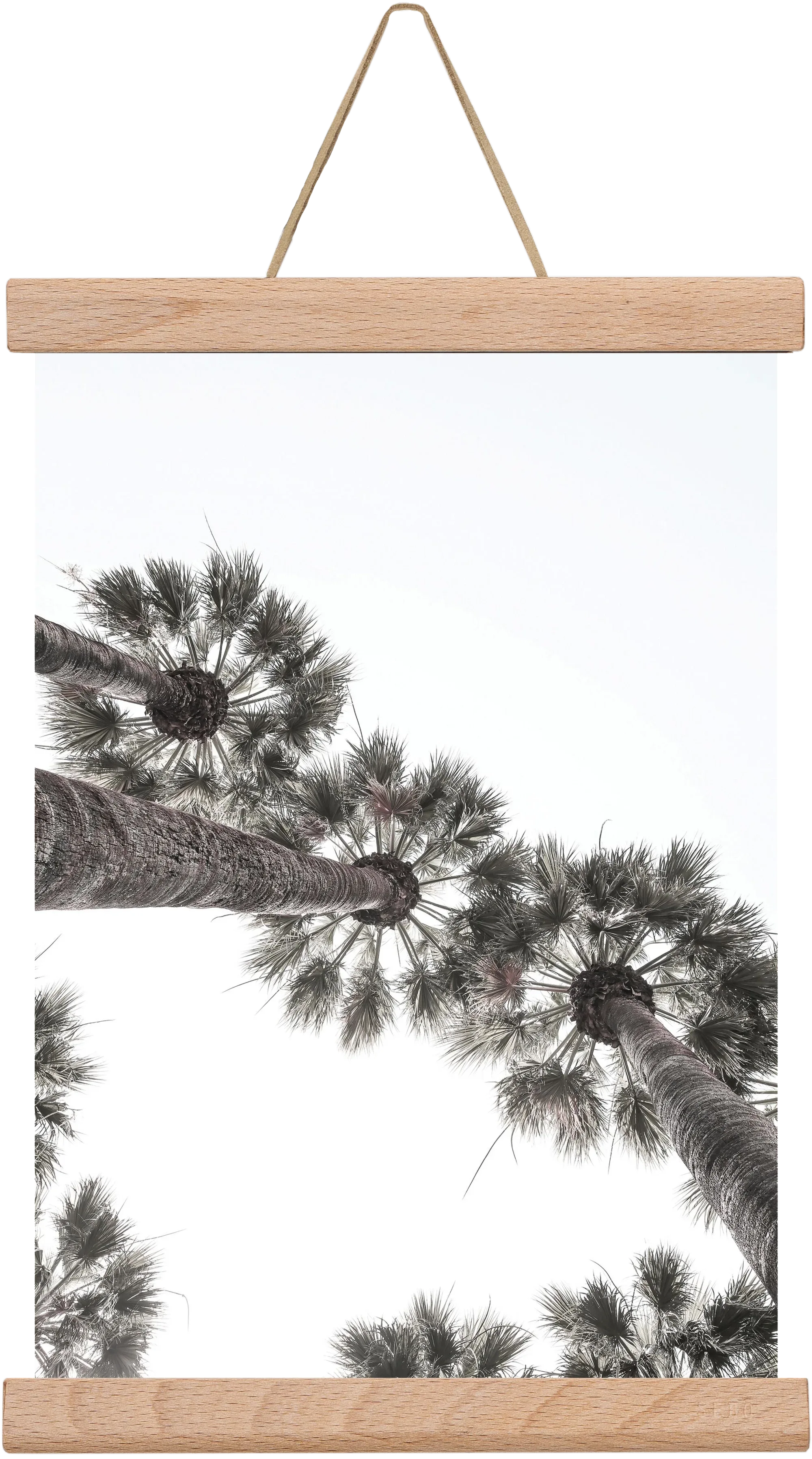 Bodrum Plams - artbridge