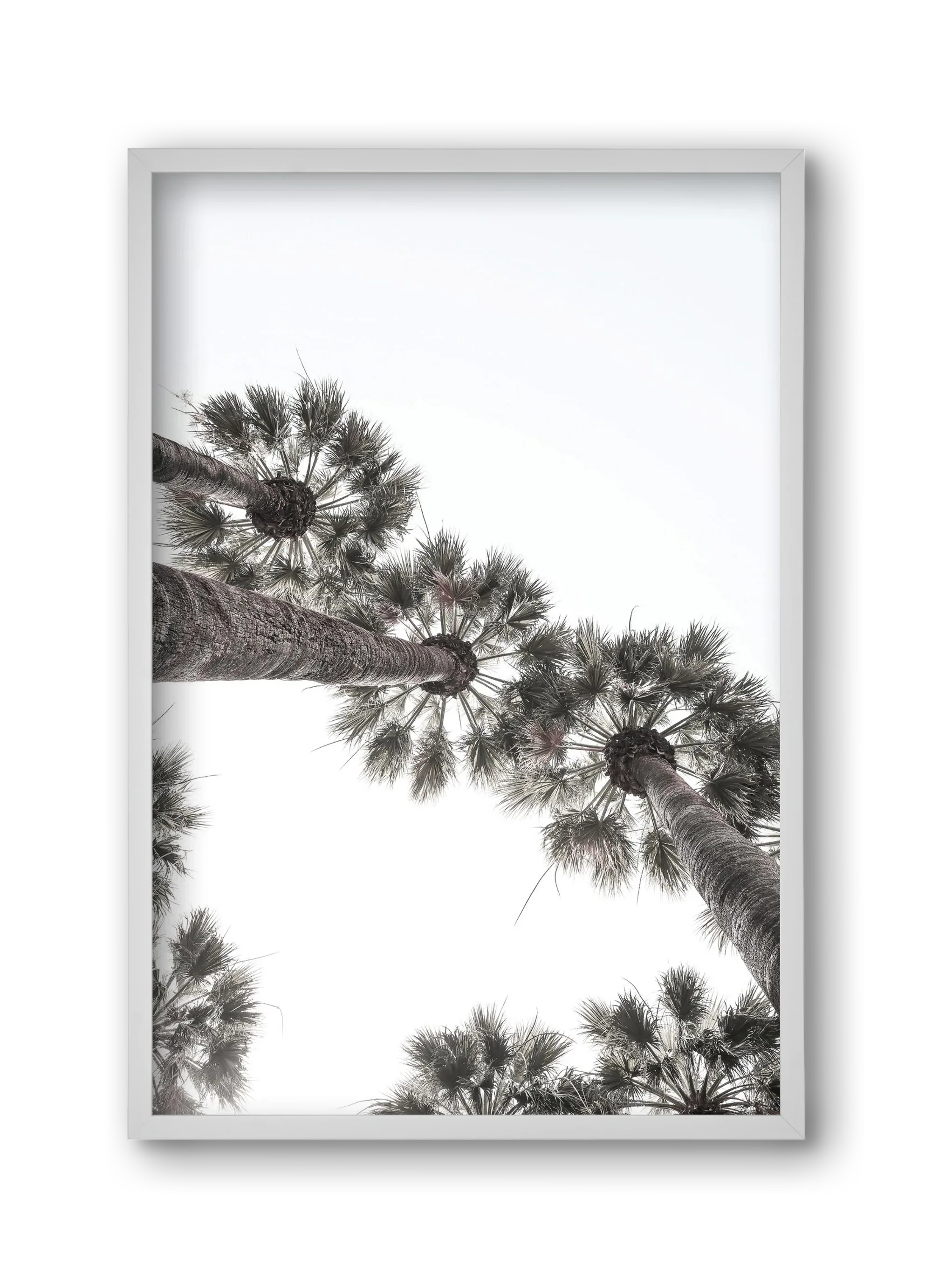 Bodrum Plams - artbridge