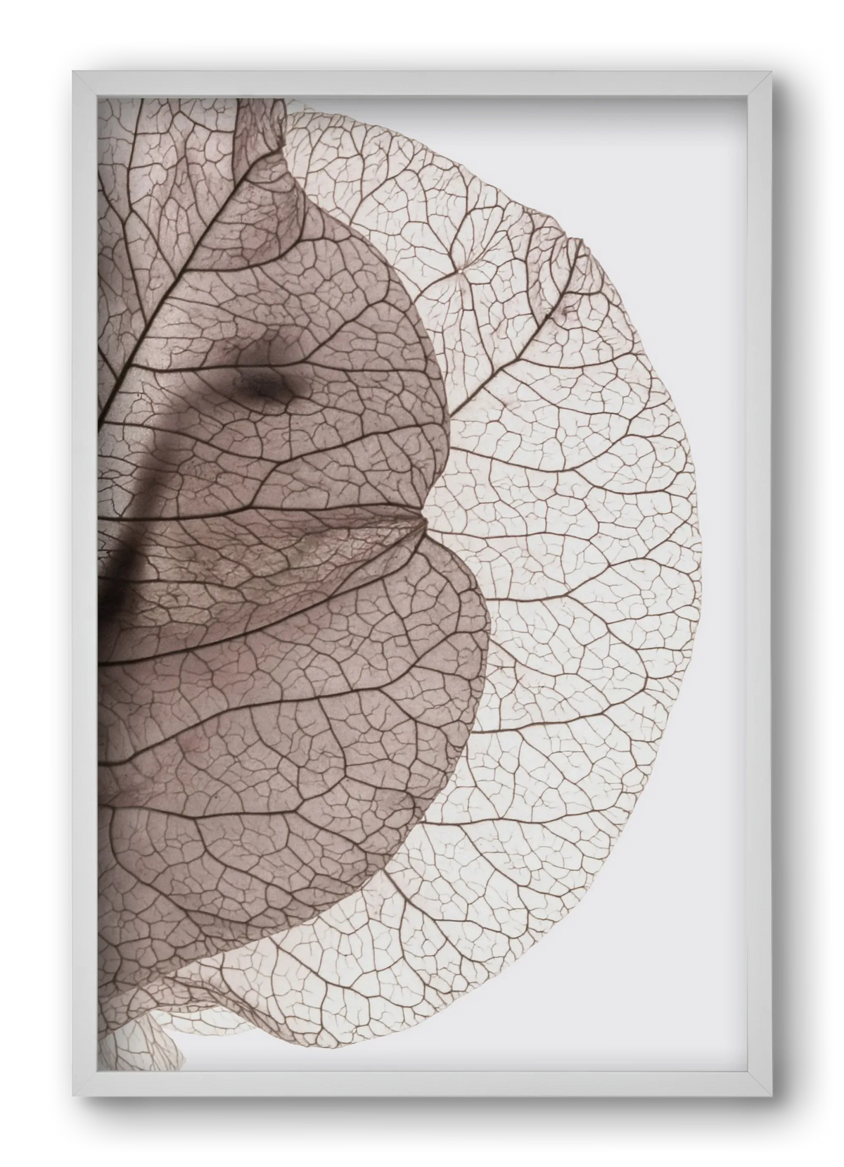 Bougainvillea Island - artbridge