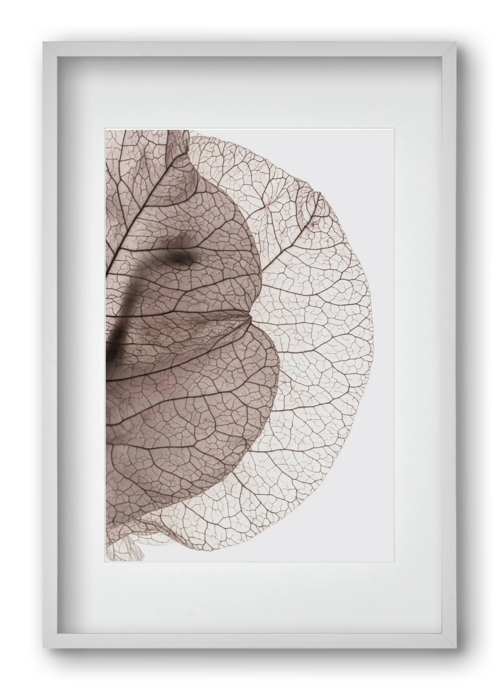Bougainvillea Island - artbridge