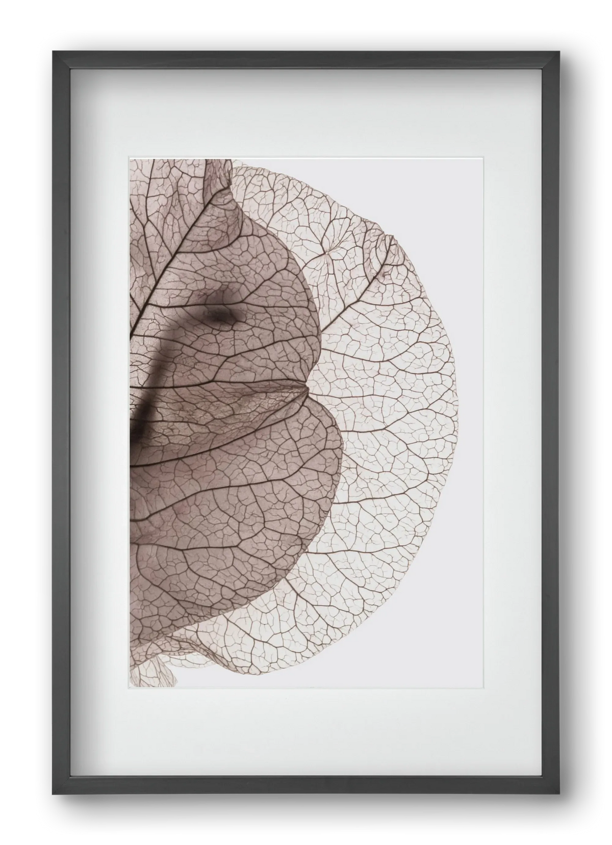 Bougainvillea Island - artbridge