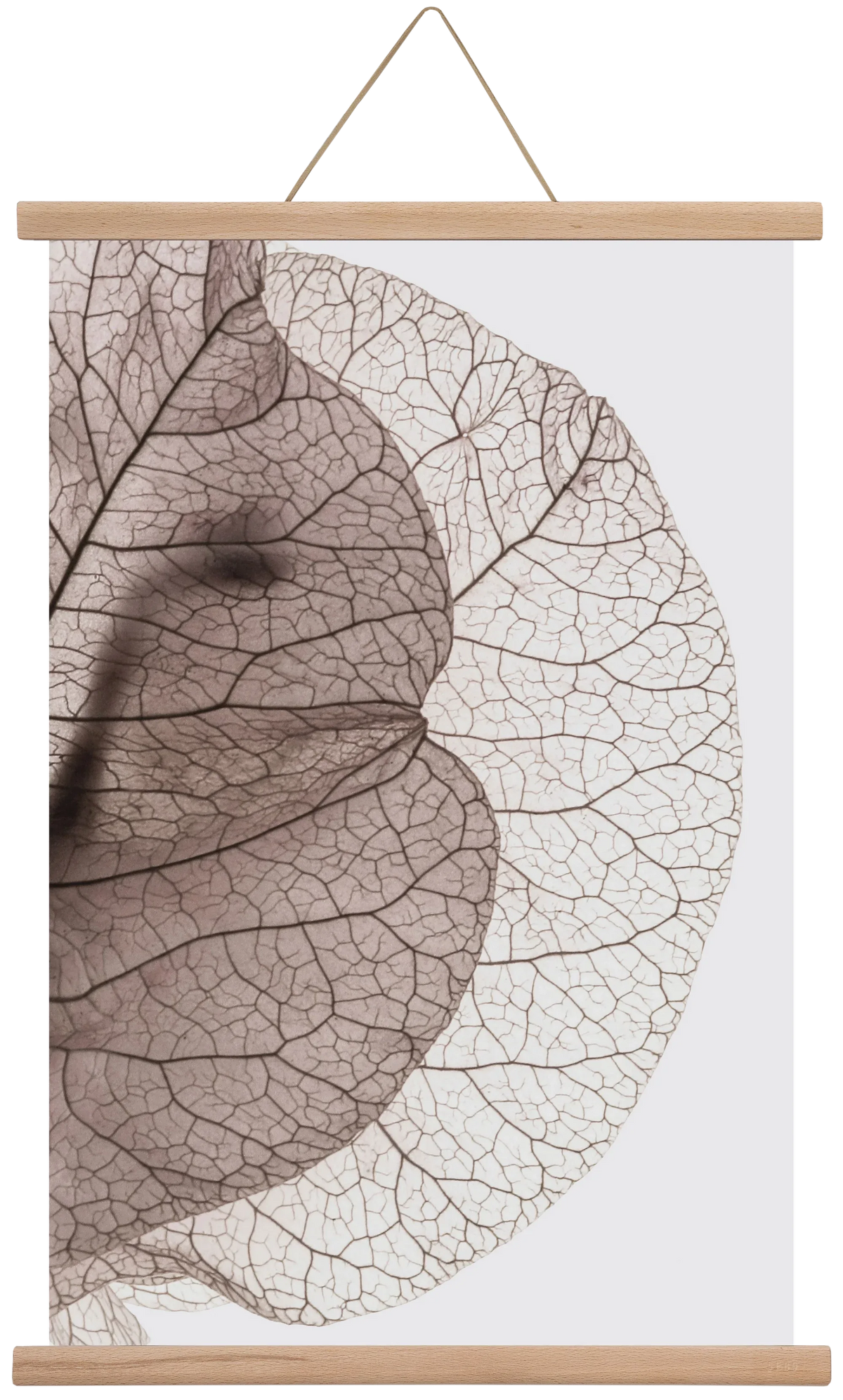 Bougainvillea Island - artbridge