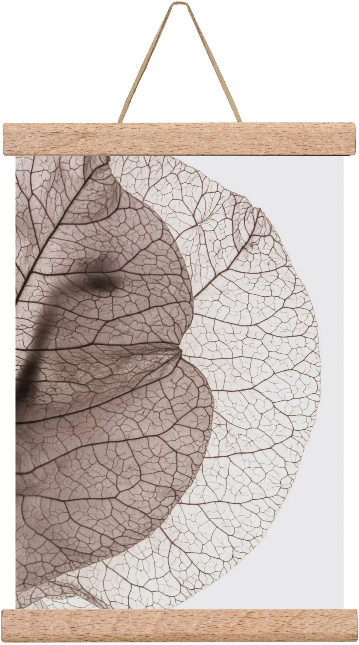 Bougainvillea Island - artbridge