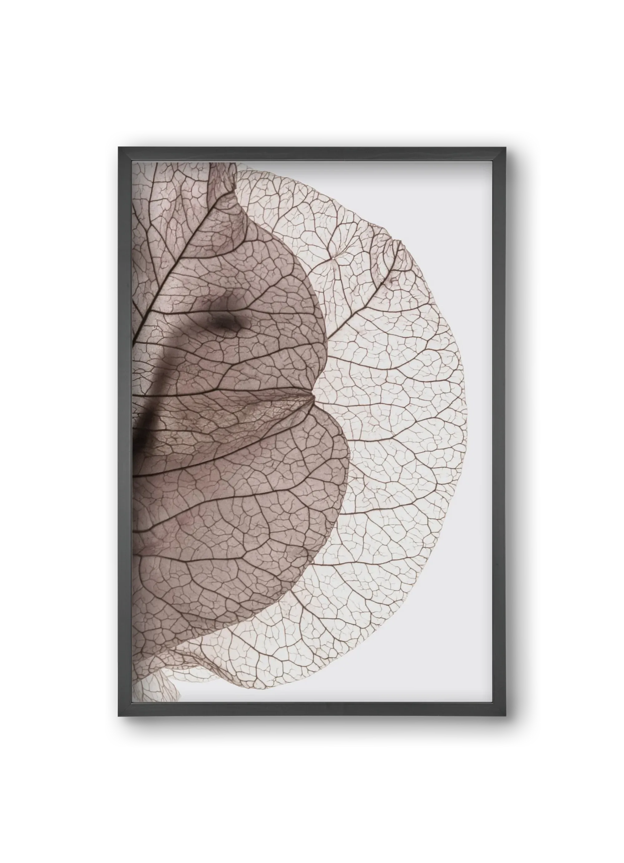 Bougainvillea Island - artbridge