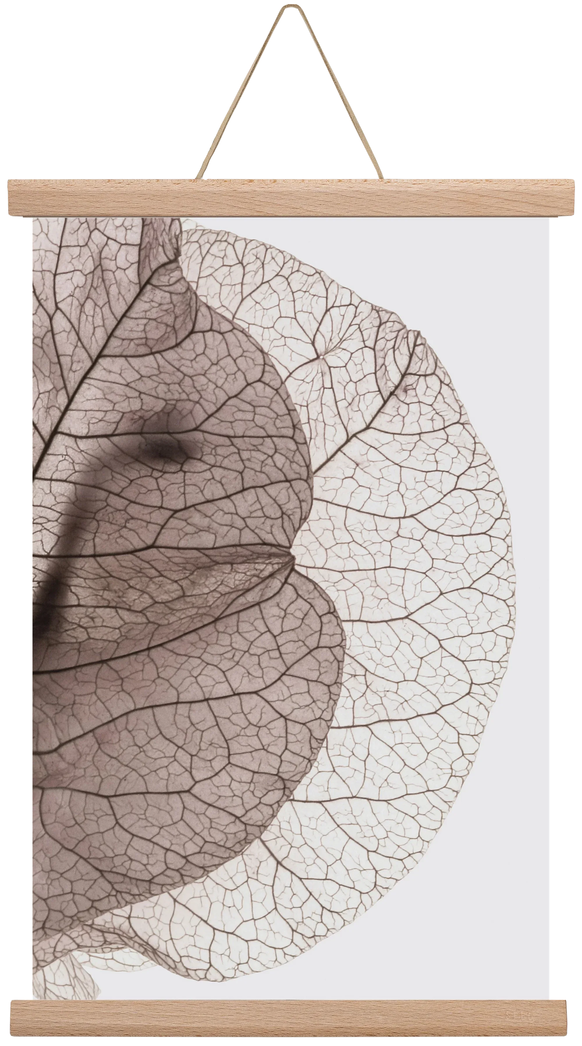 Bougainvillea Island - artbridge