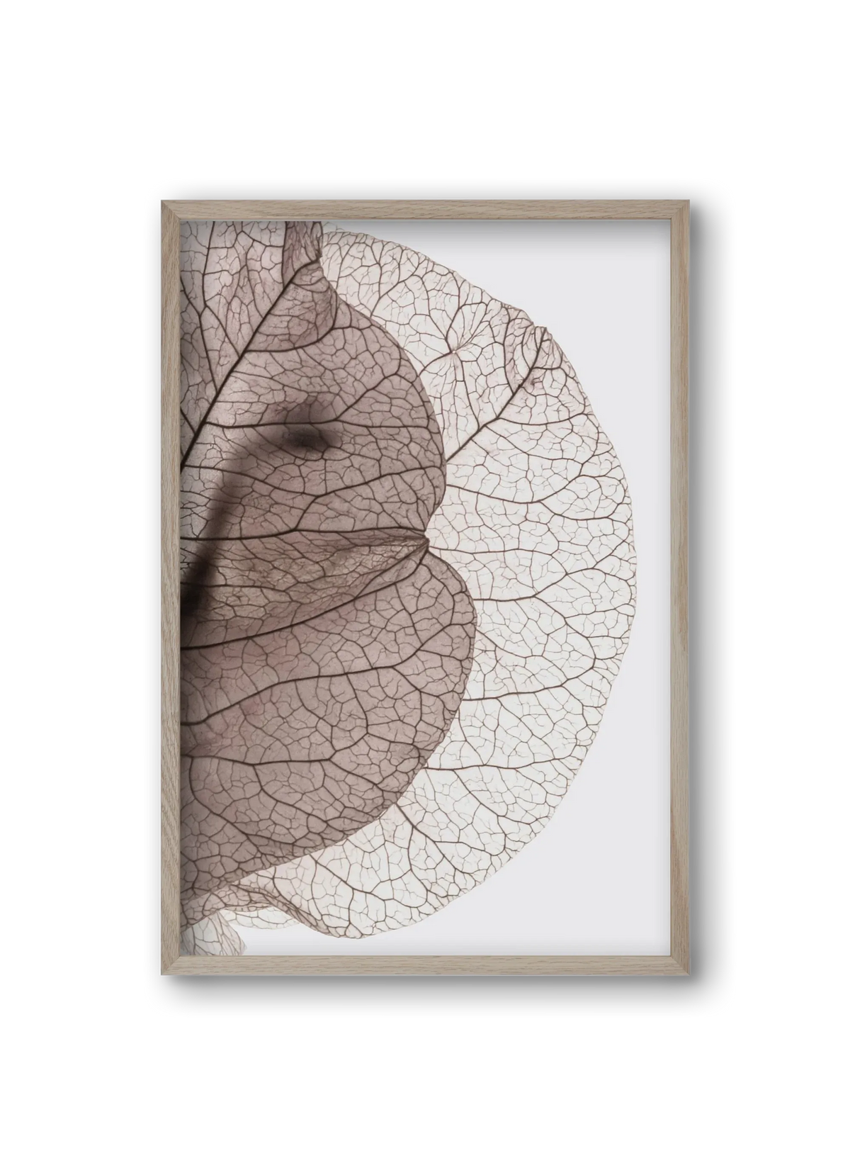 Bougainvillea Island - artbridge