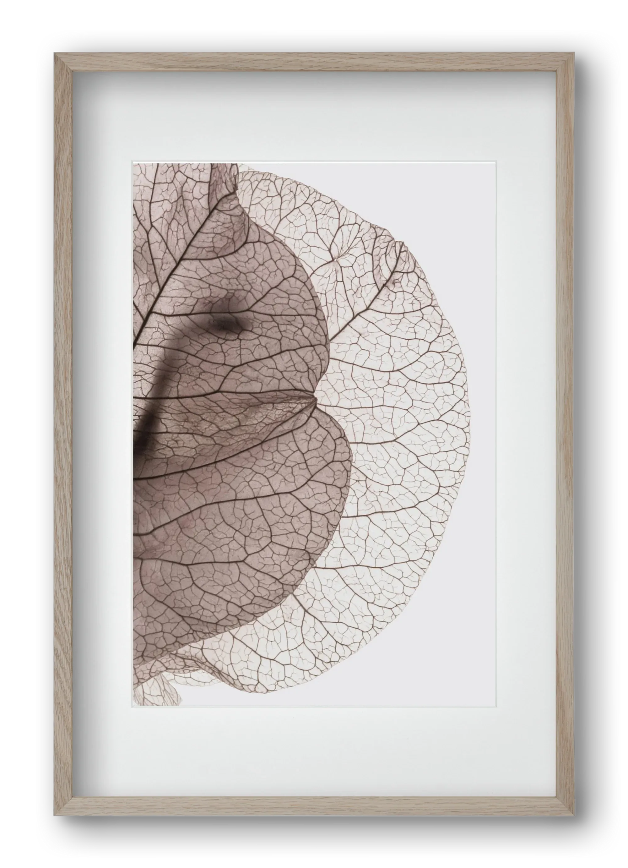 Bougainvillea Island - artbridge