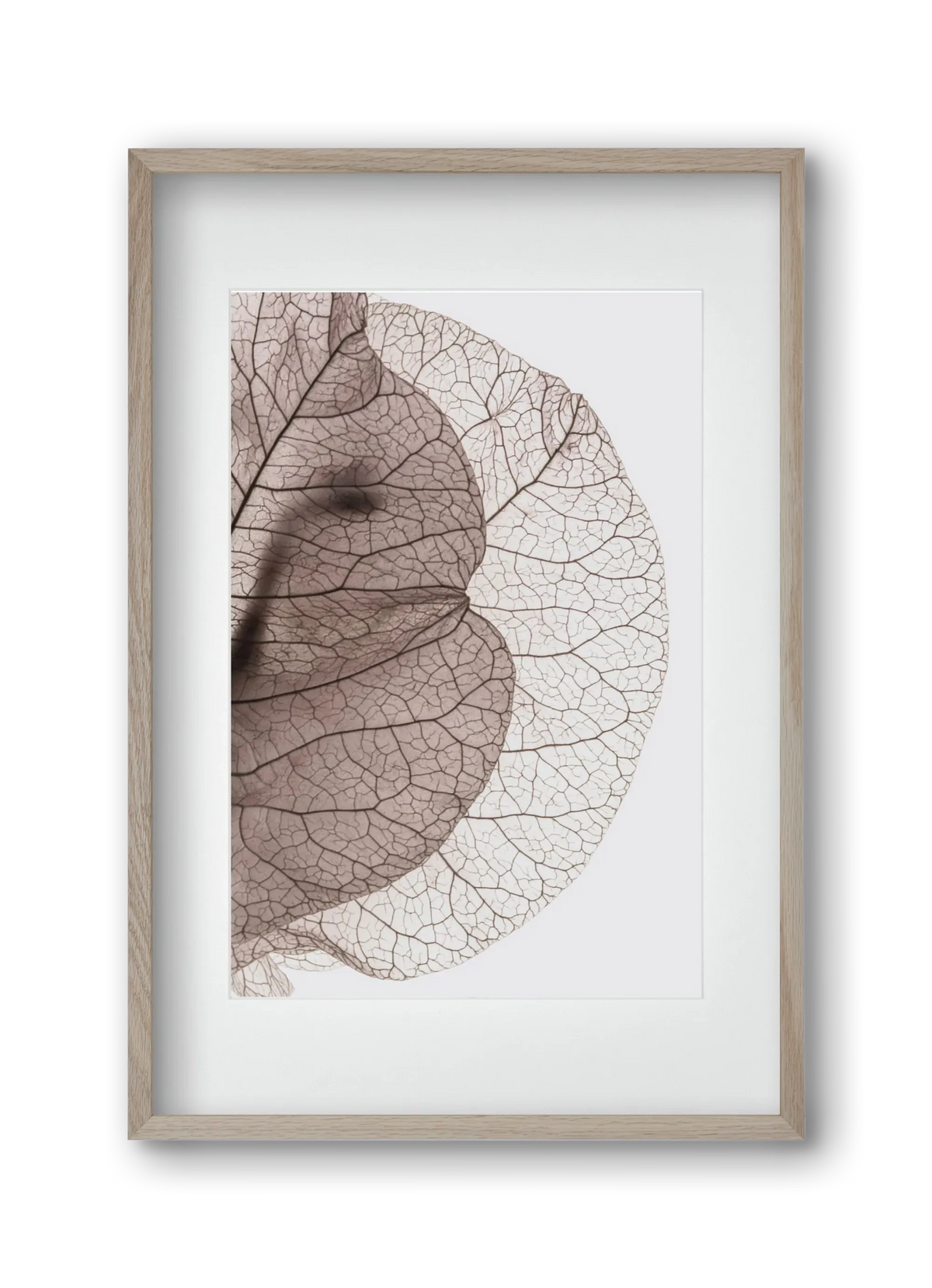 Bougainvillea Island - artbridge