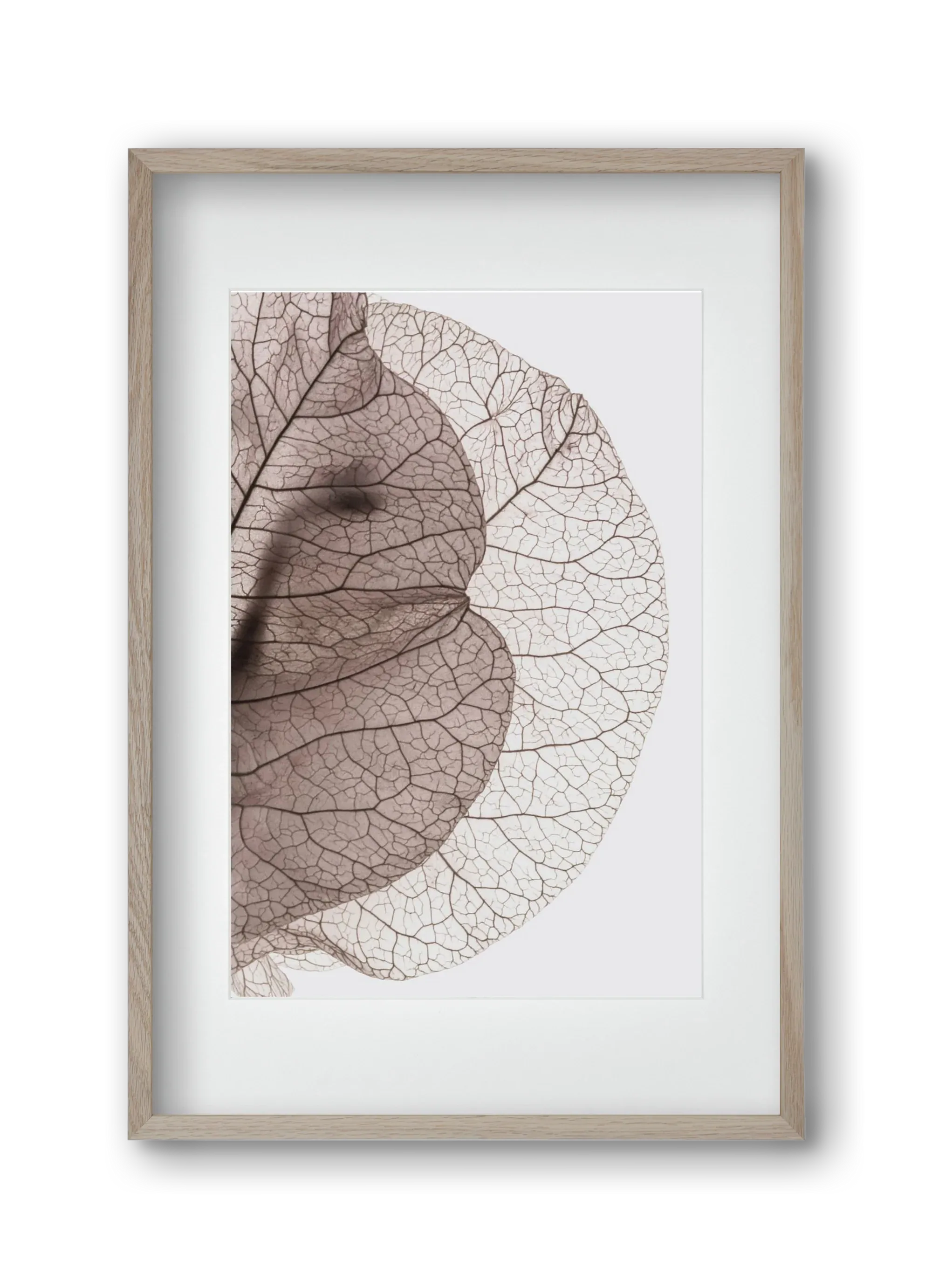 Bougainvillea Island - artbridge