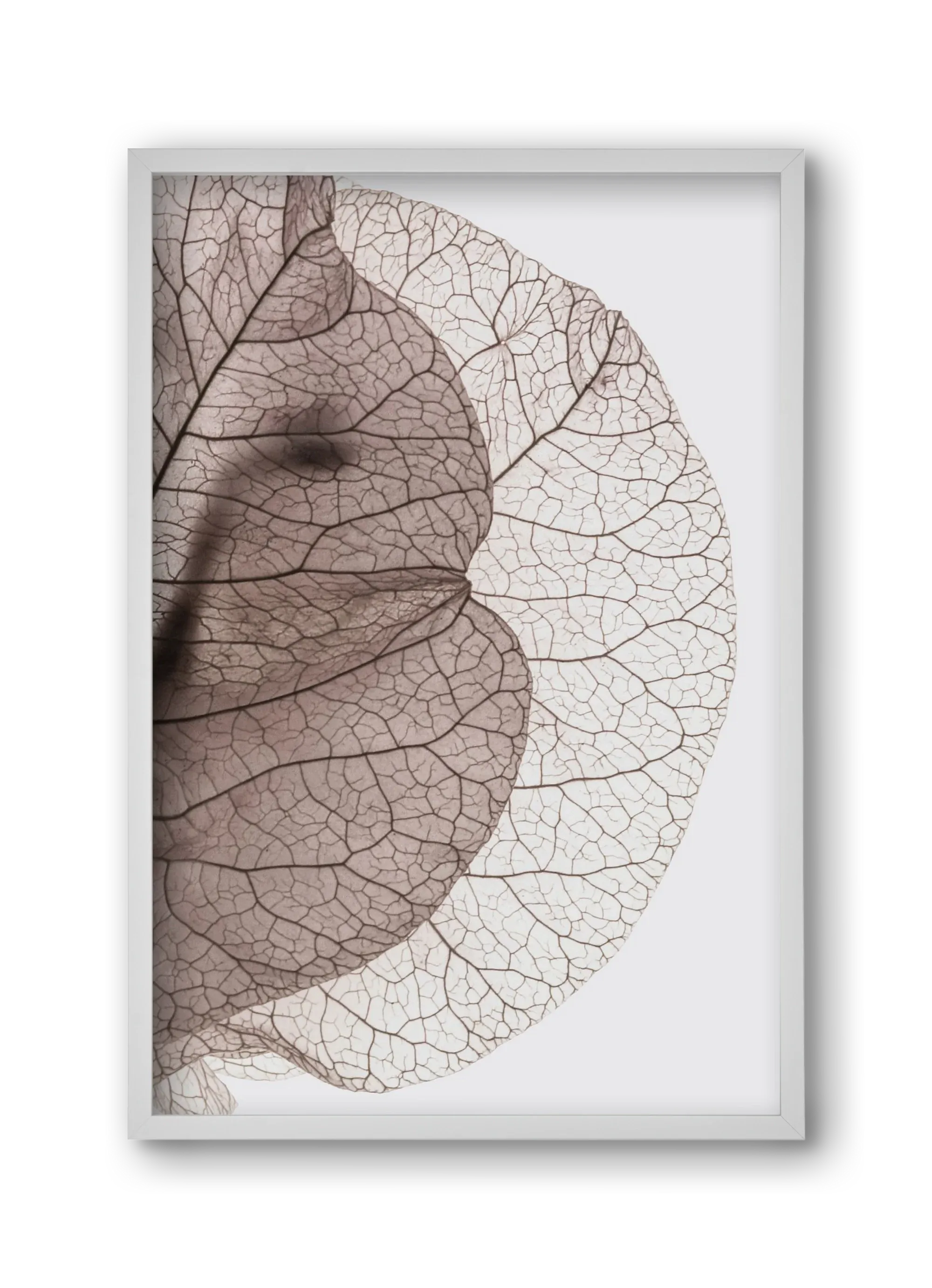 Bougainvillea Island - artbridge