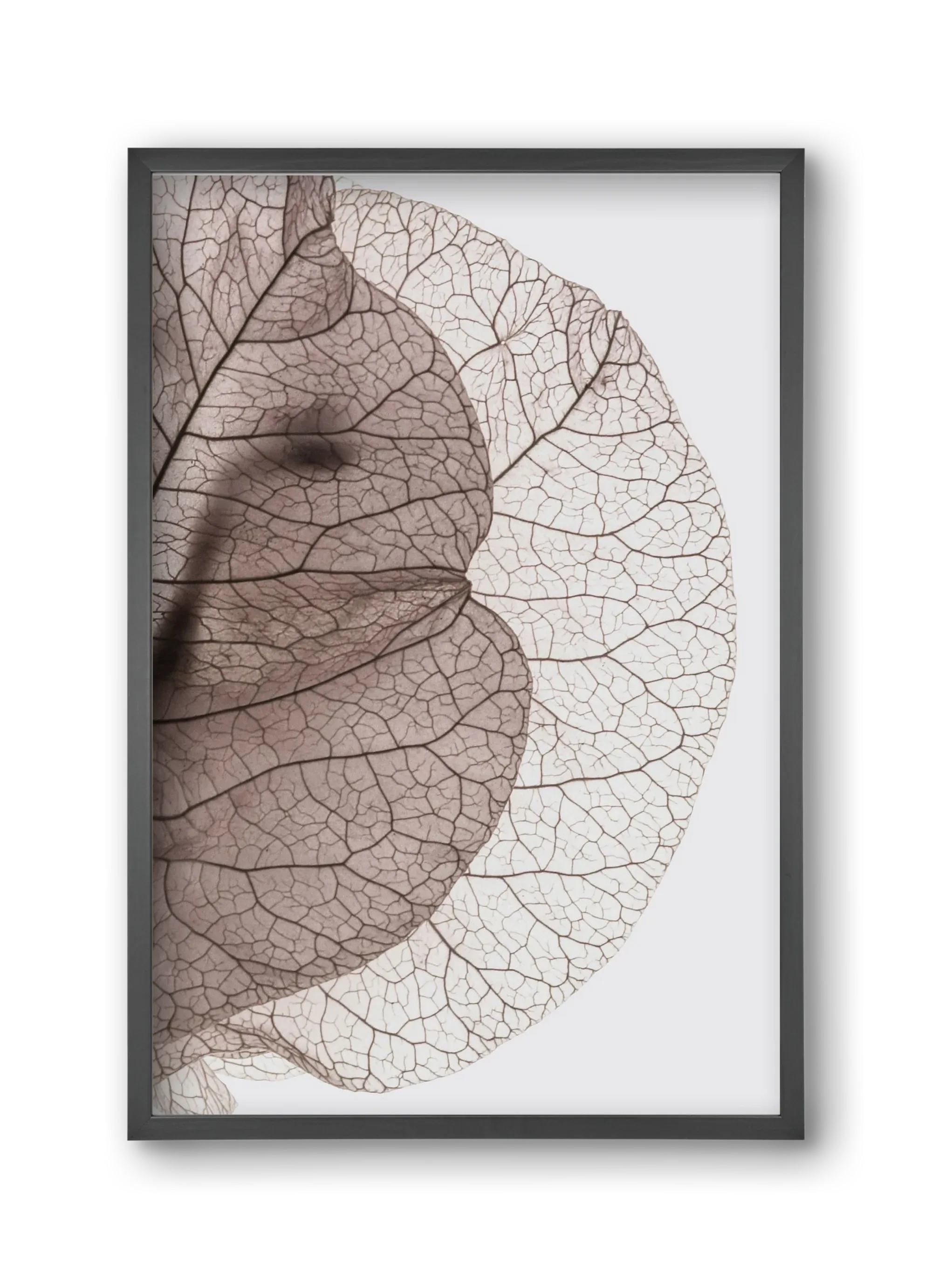 Bougainvillea Island - artbridge