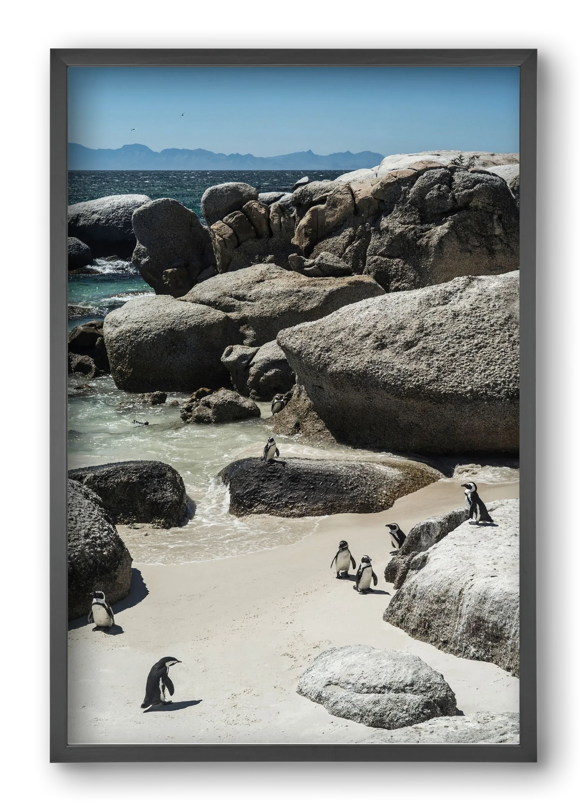Boulders Beach - artbridge