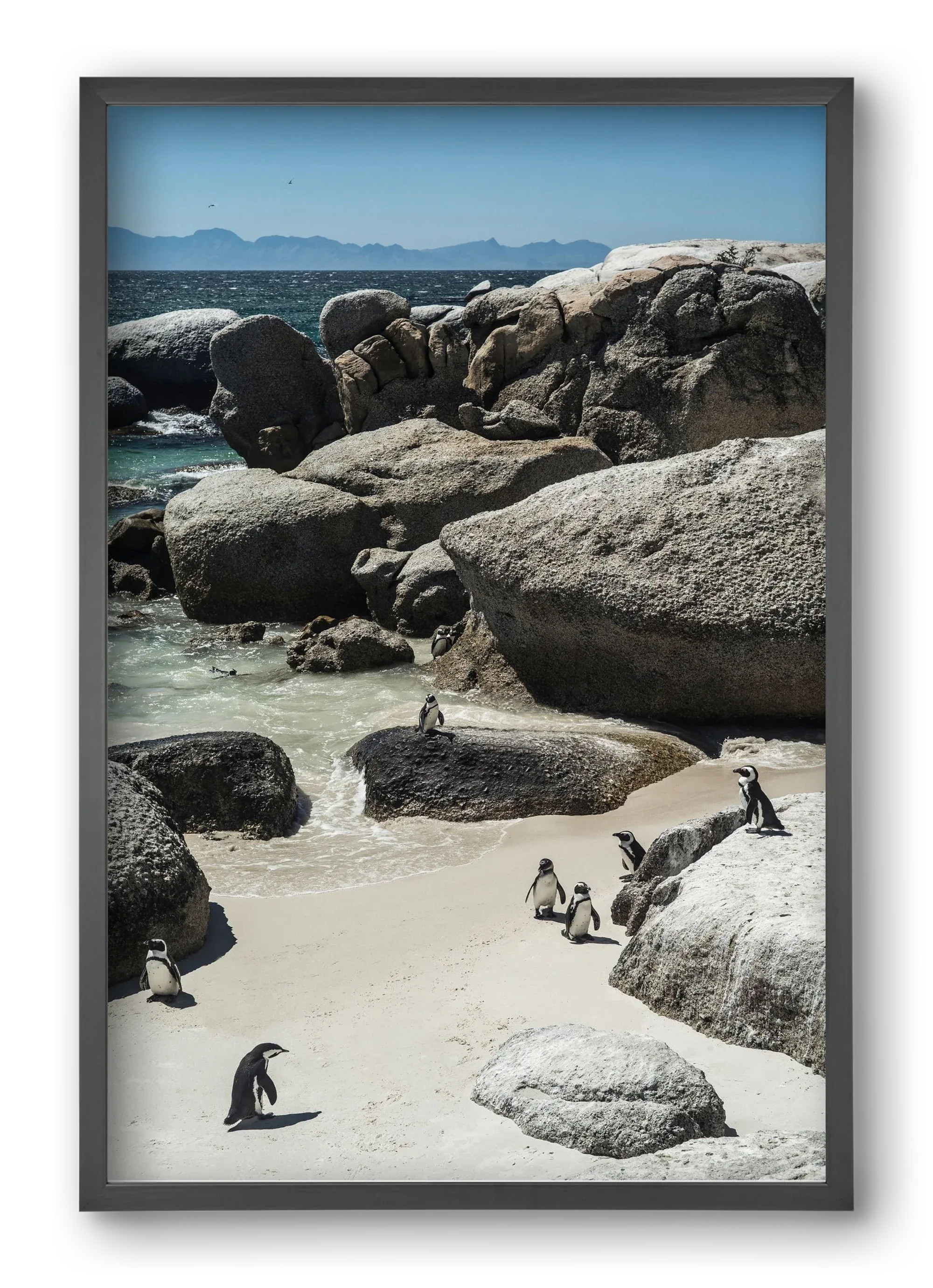 Boulders Beach - artbridge
