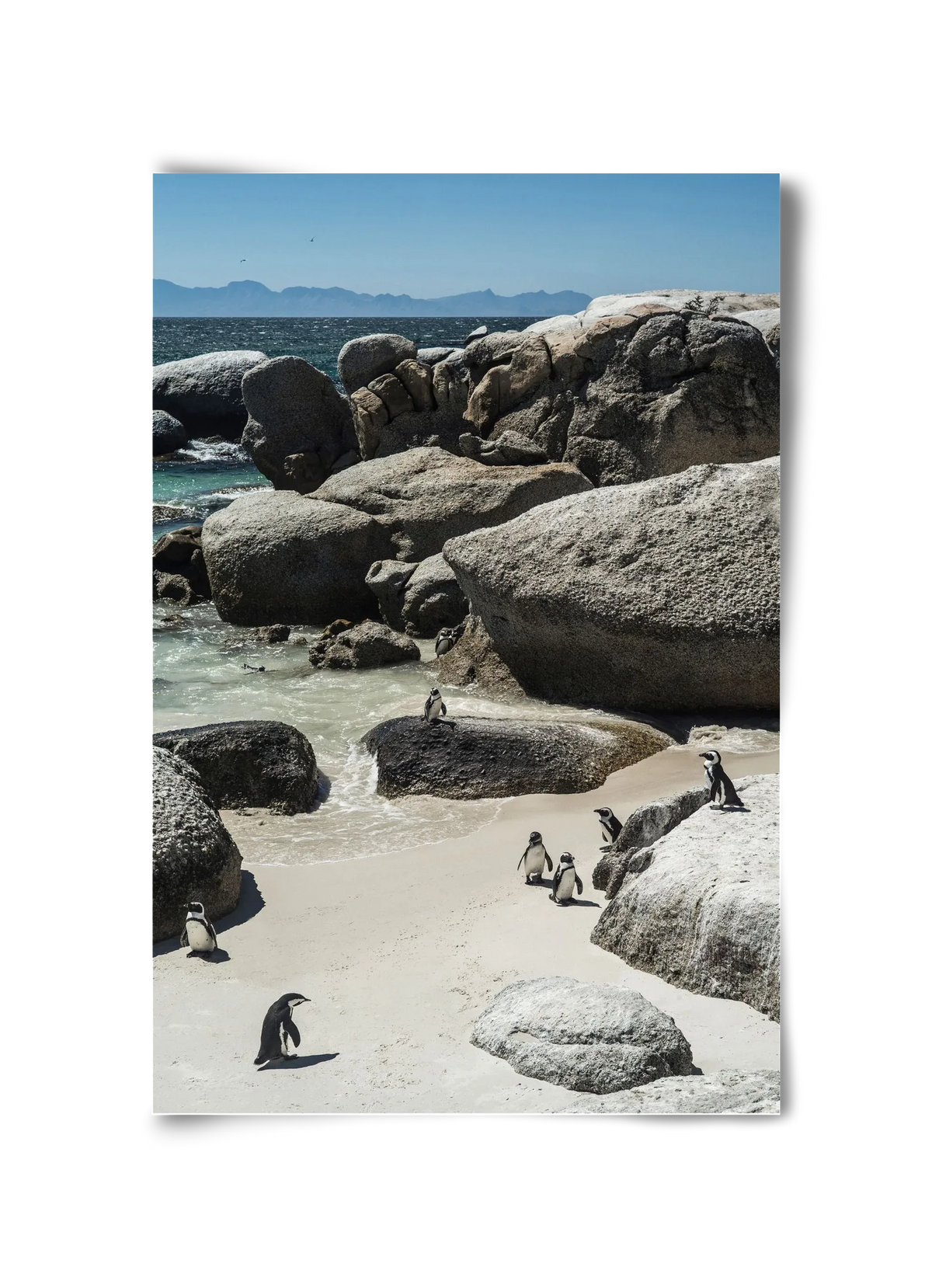 Boulders Beach - artbridge