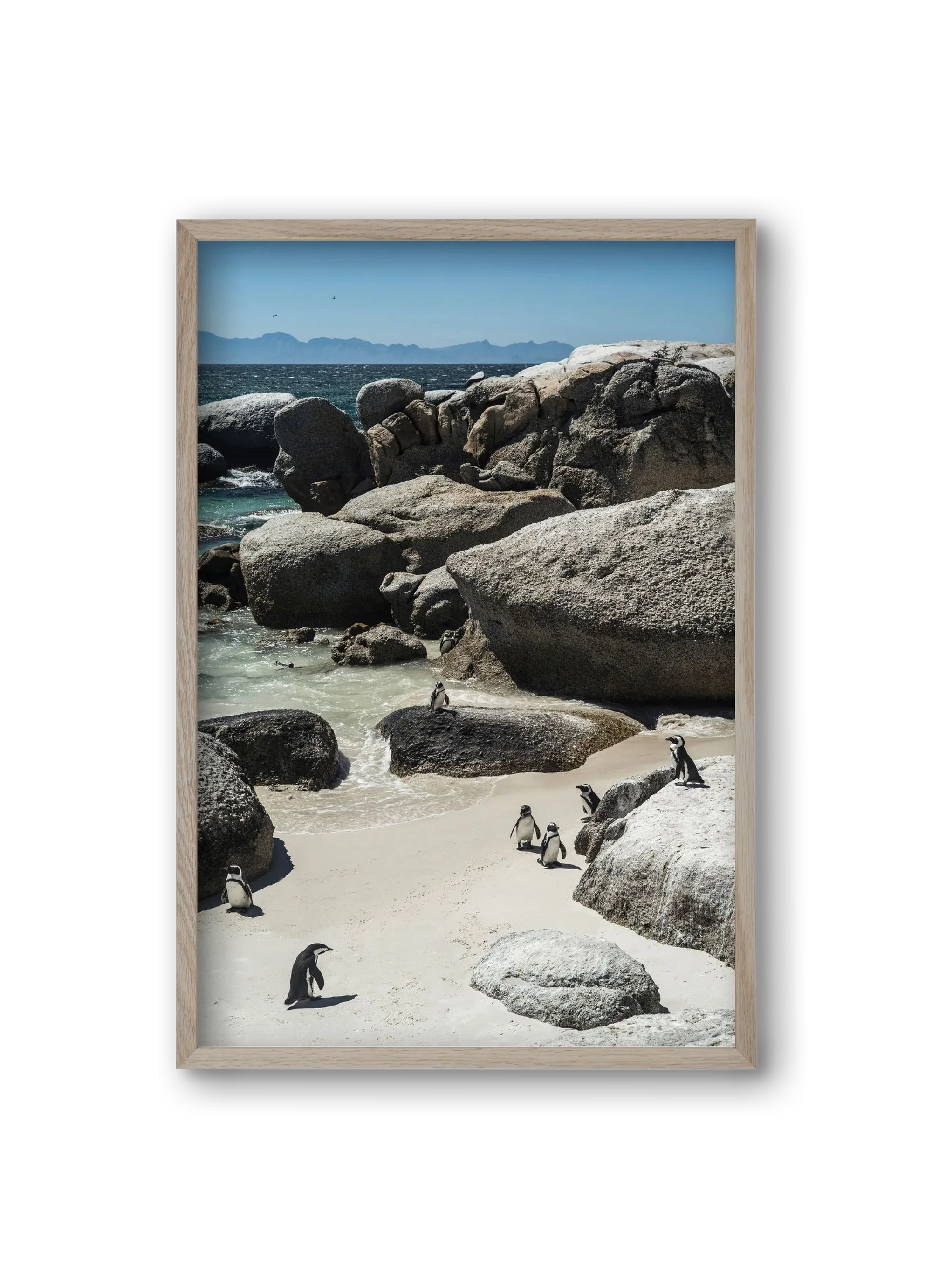 Boulders Beach - artbridge
