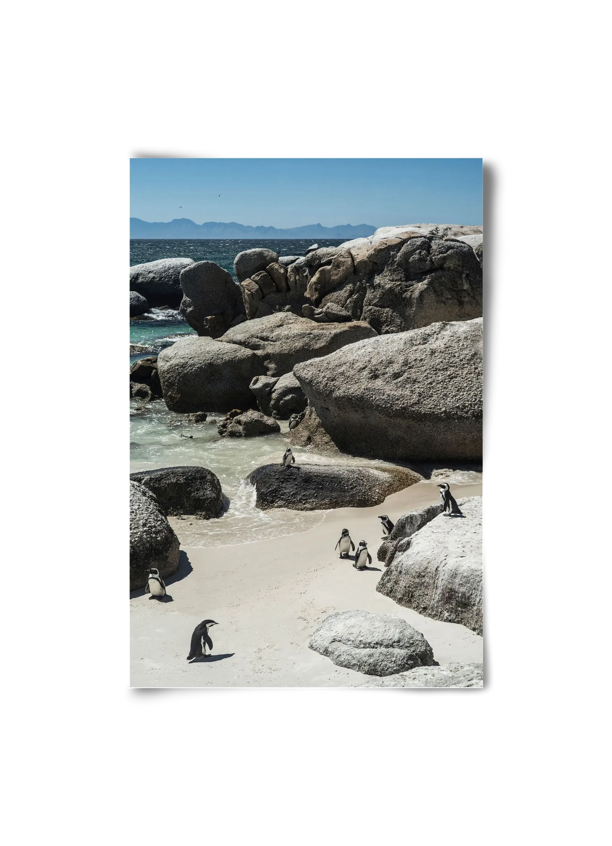Boulders Beach - artbridge