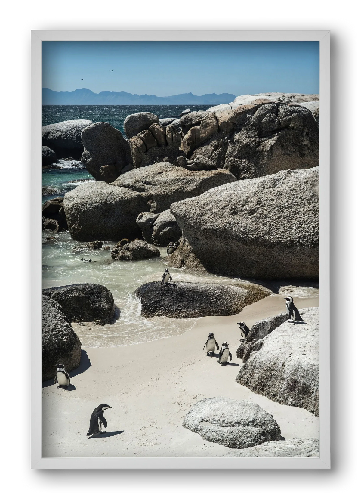 Boulders Beach - artbridge