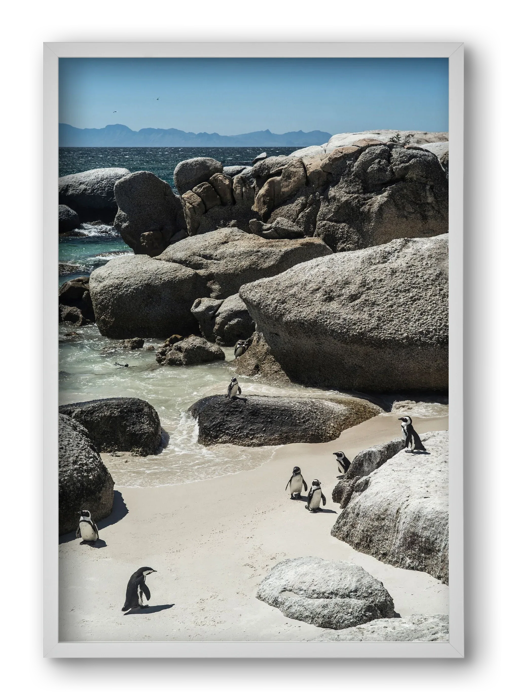 Boulders Beach - artbridge