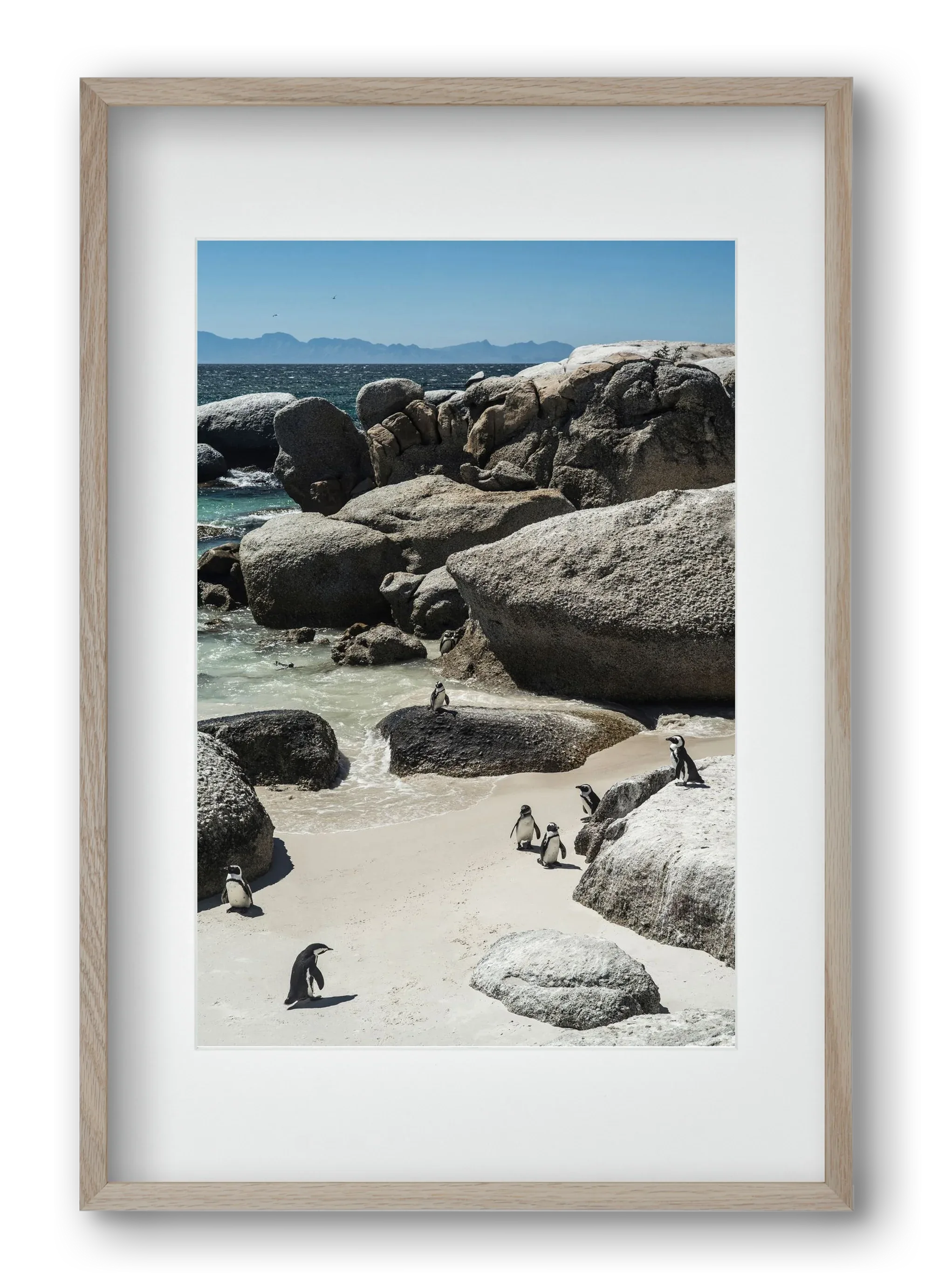Boulders Beach - artbridge