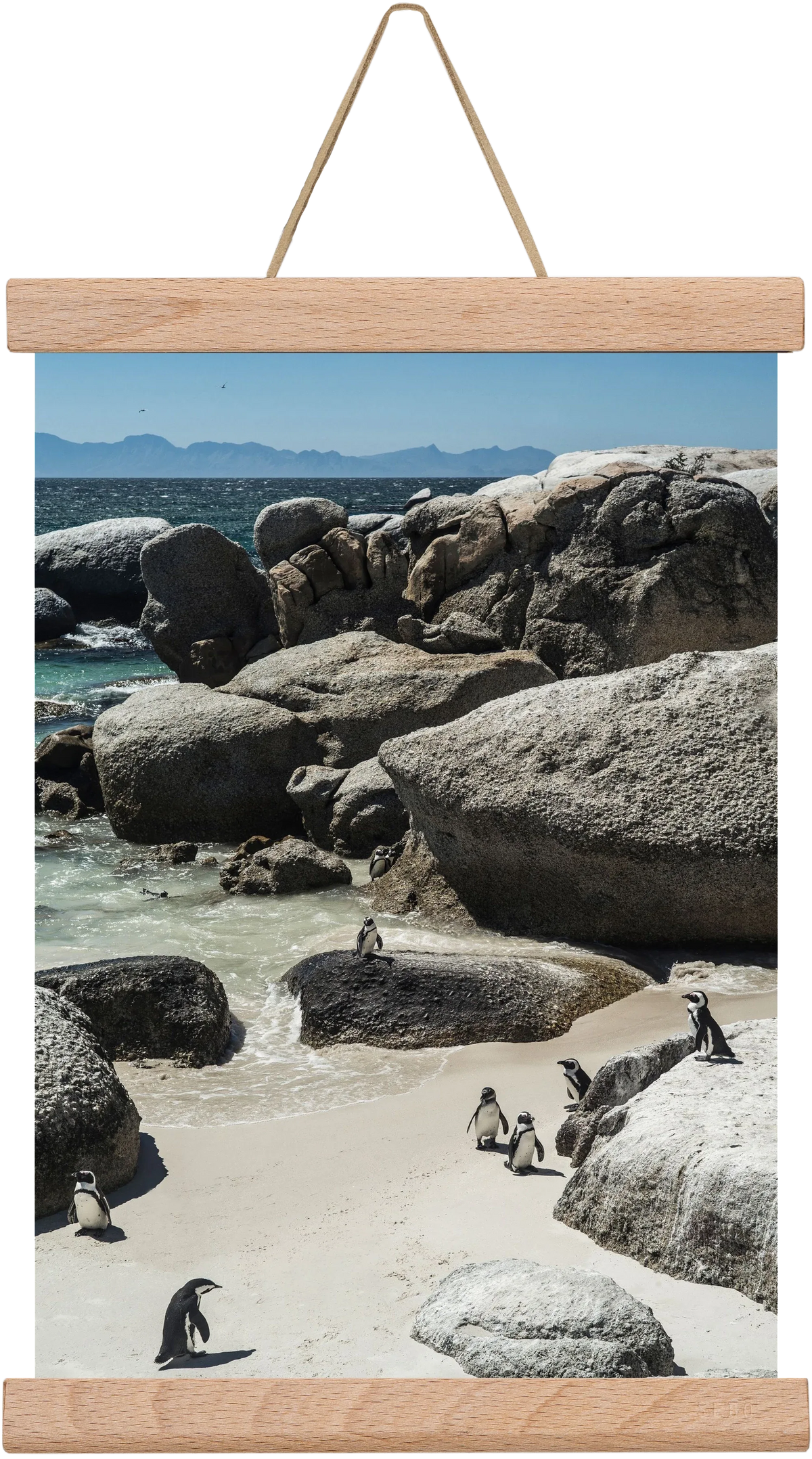Boulders Beach - artbridge