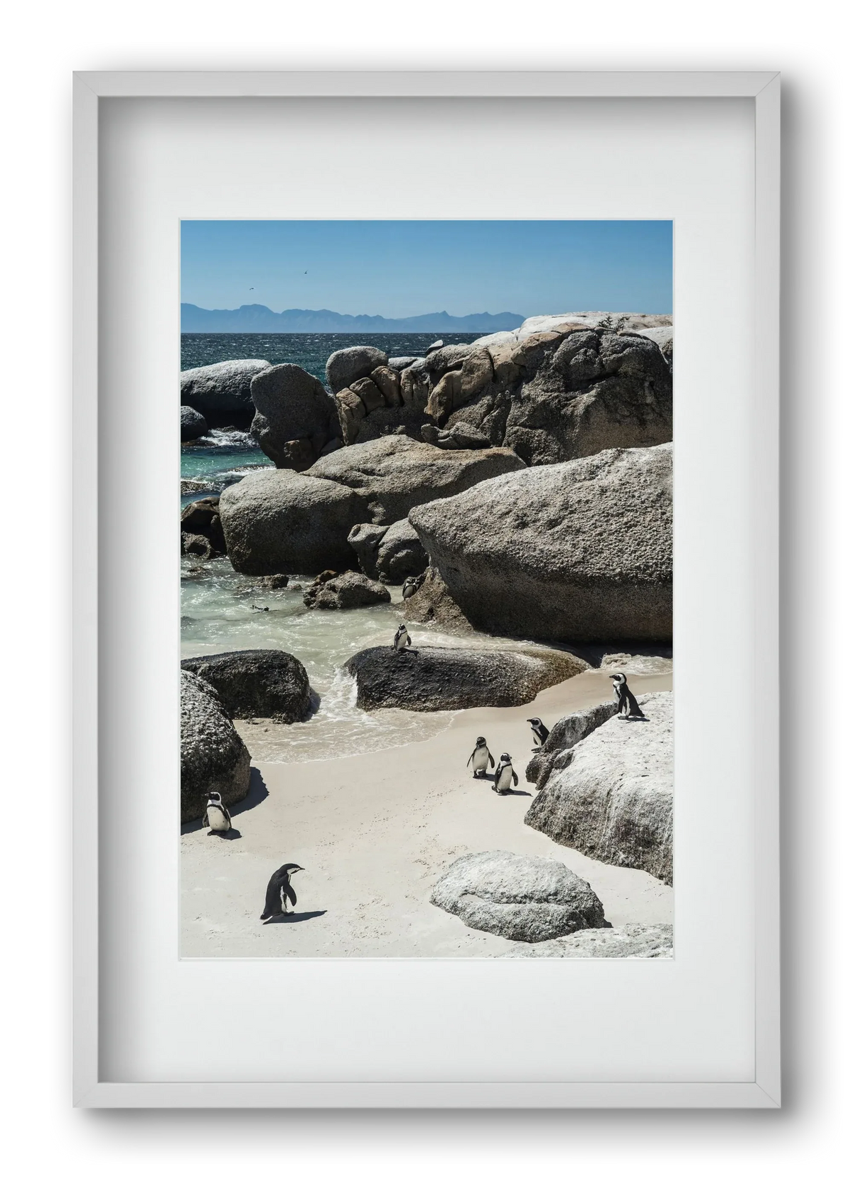Boulders Beach - artbridge