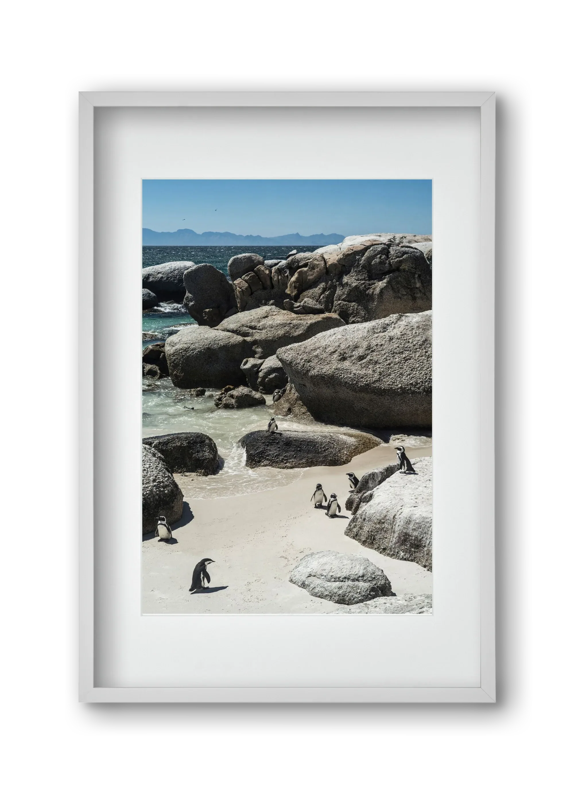 Boulders Beach - artbridge