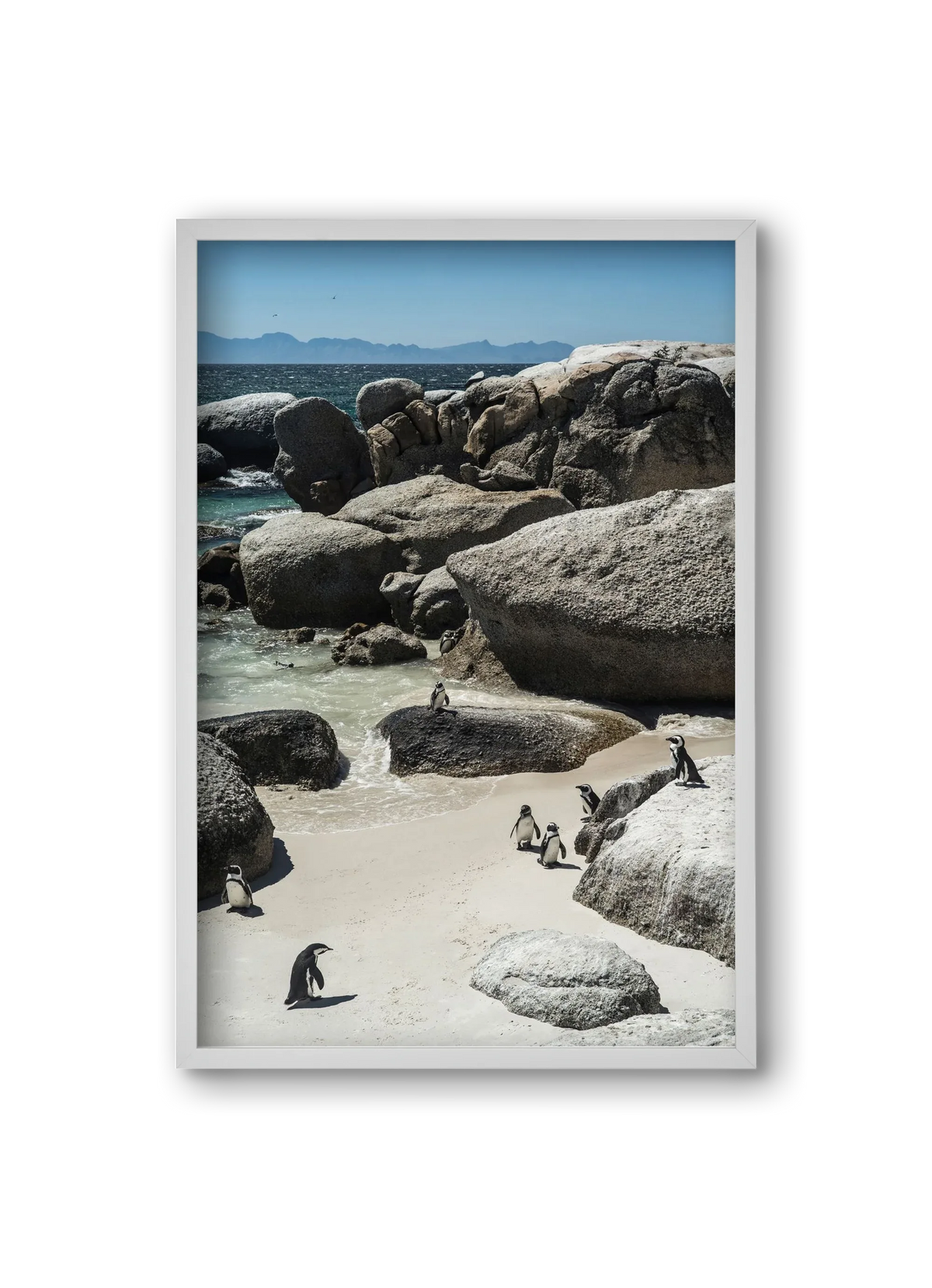 Boulders Beach - artbridge