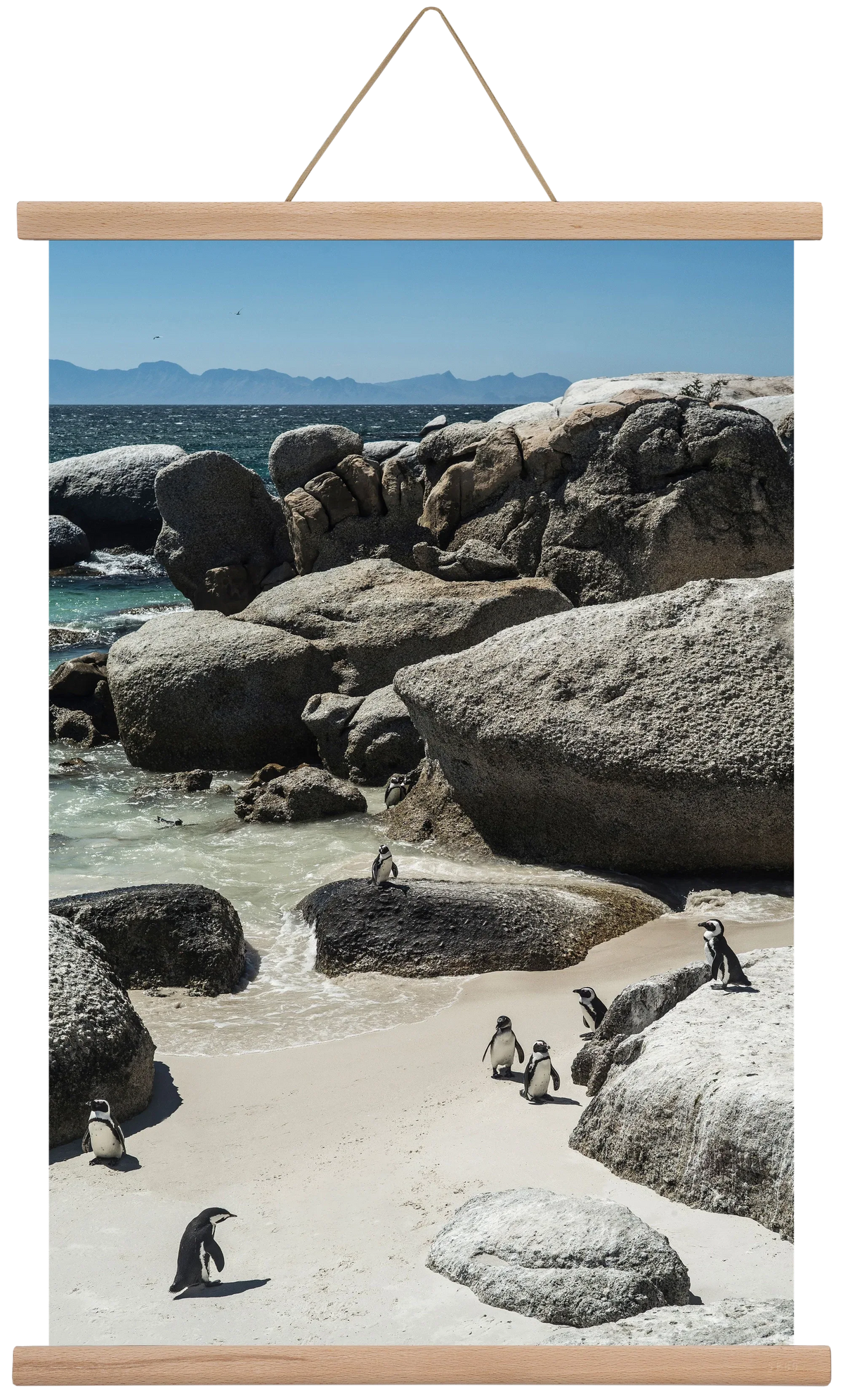 Boulders Beach - artbridge