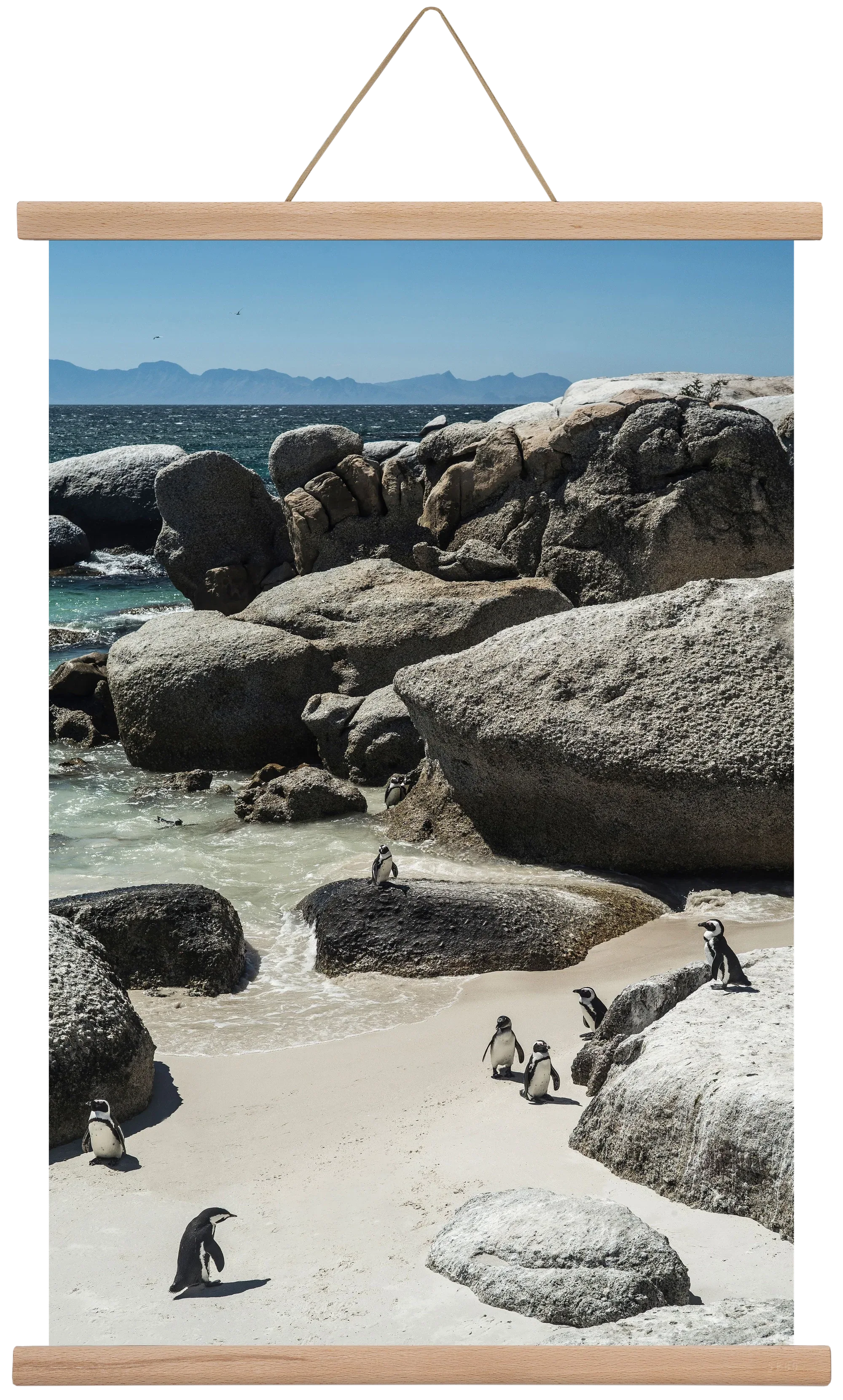 Boulders Beach - artbridge