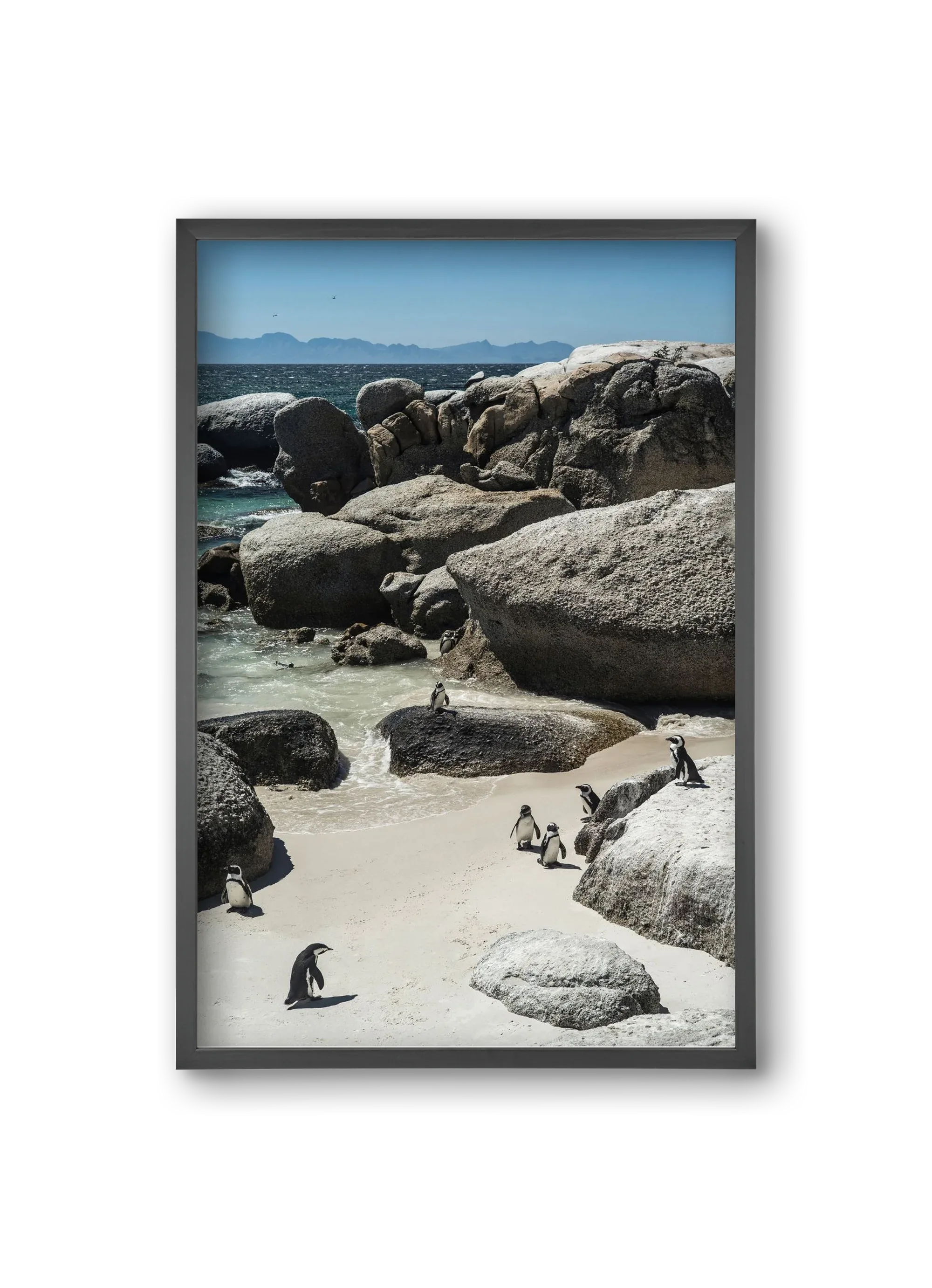 Boulders Beach - artbridge