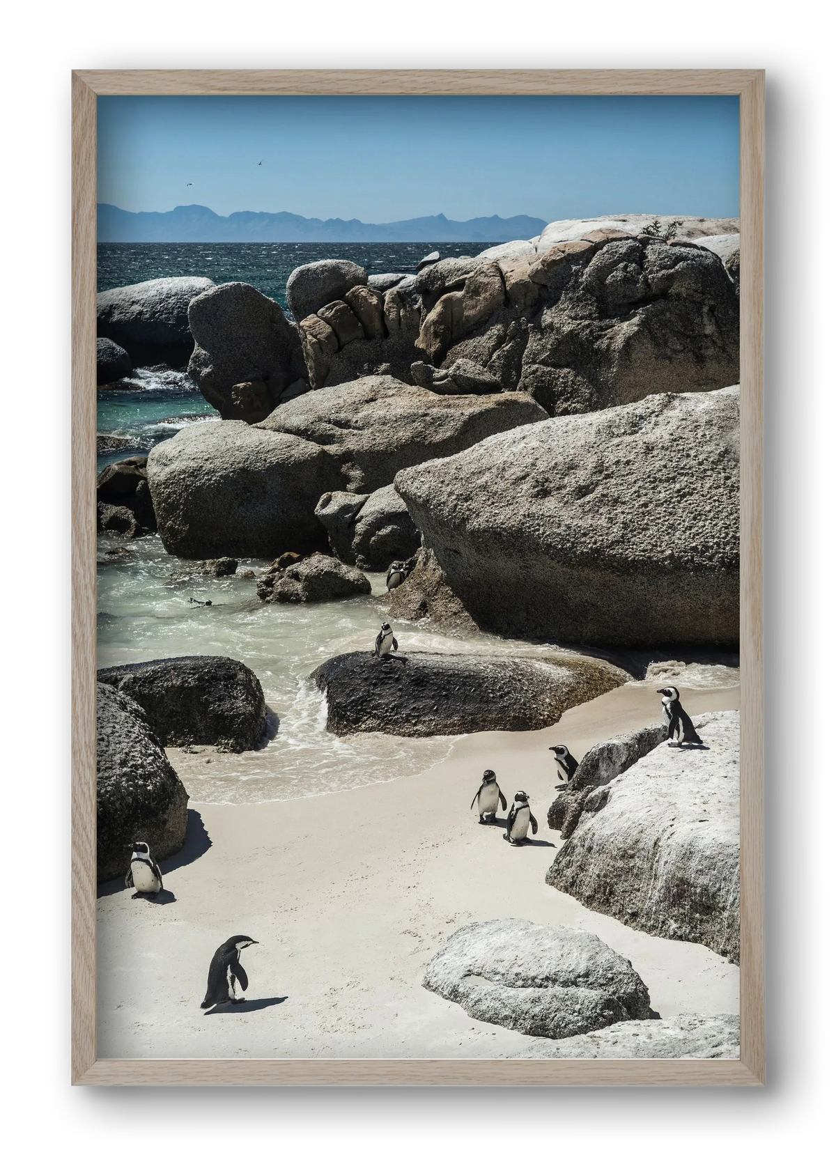 Boulders Beach - artbridge