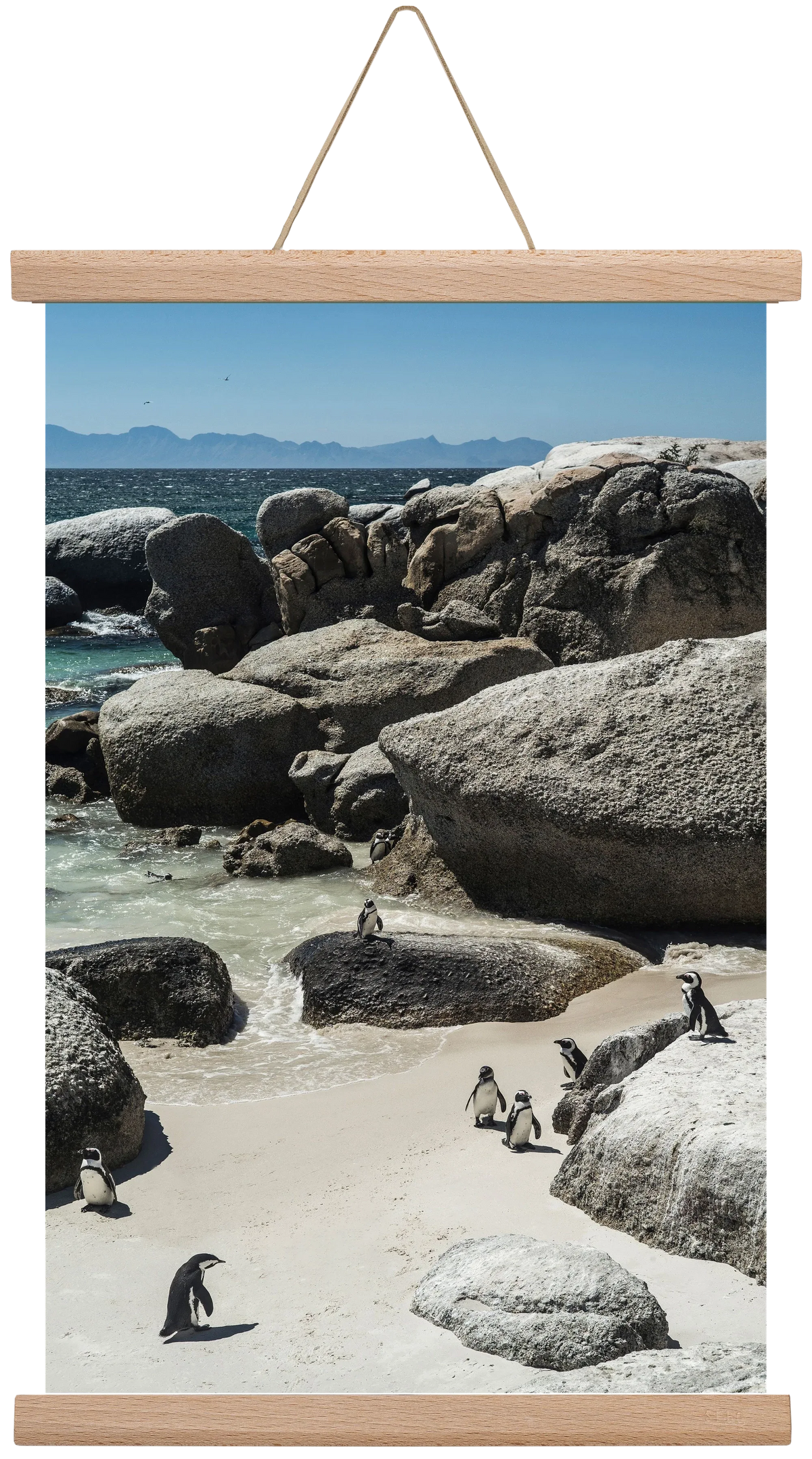 Boulders Beach - artbridge