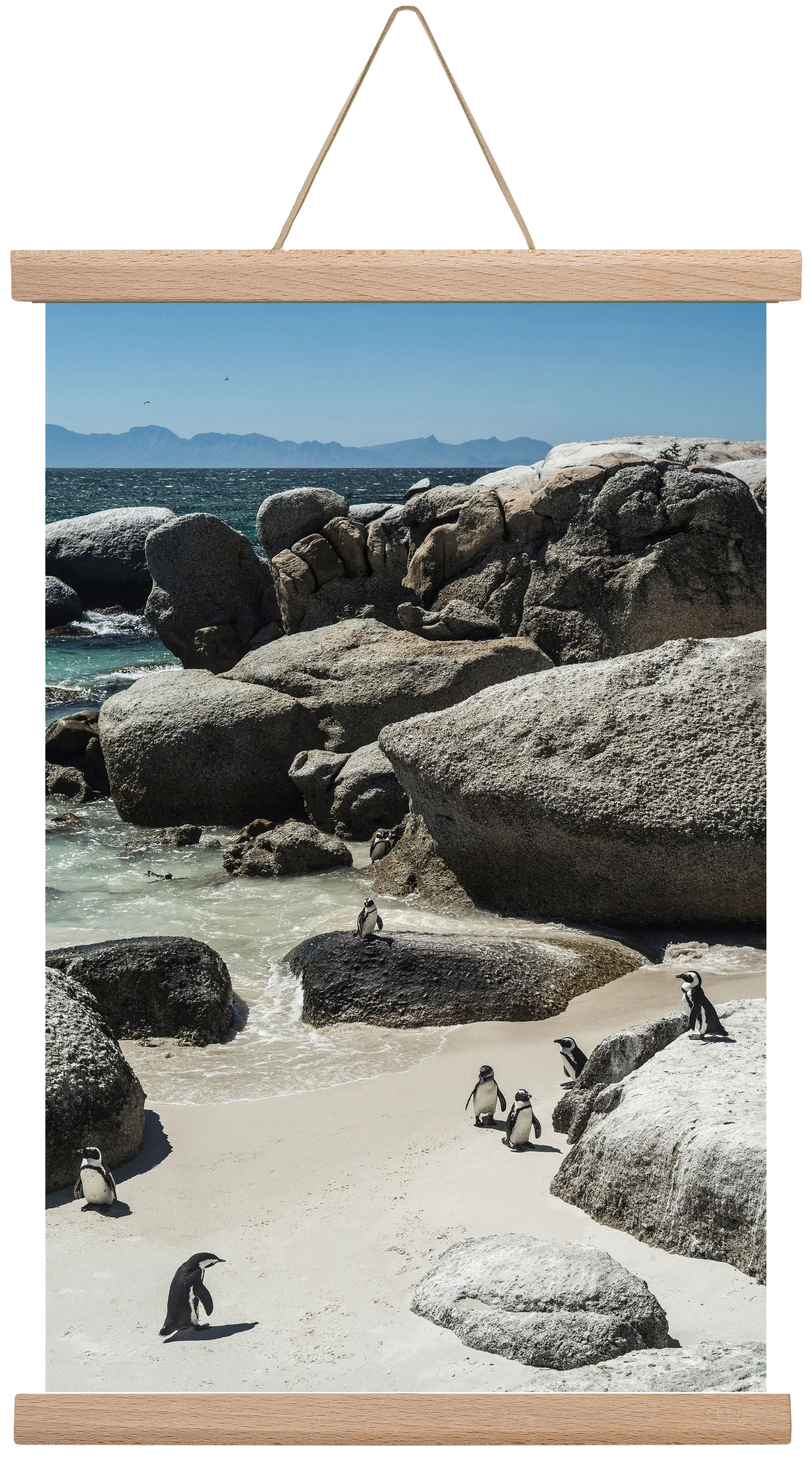 Boulders Beach - artbridge
