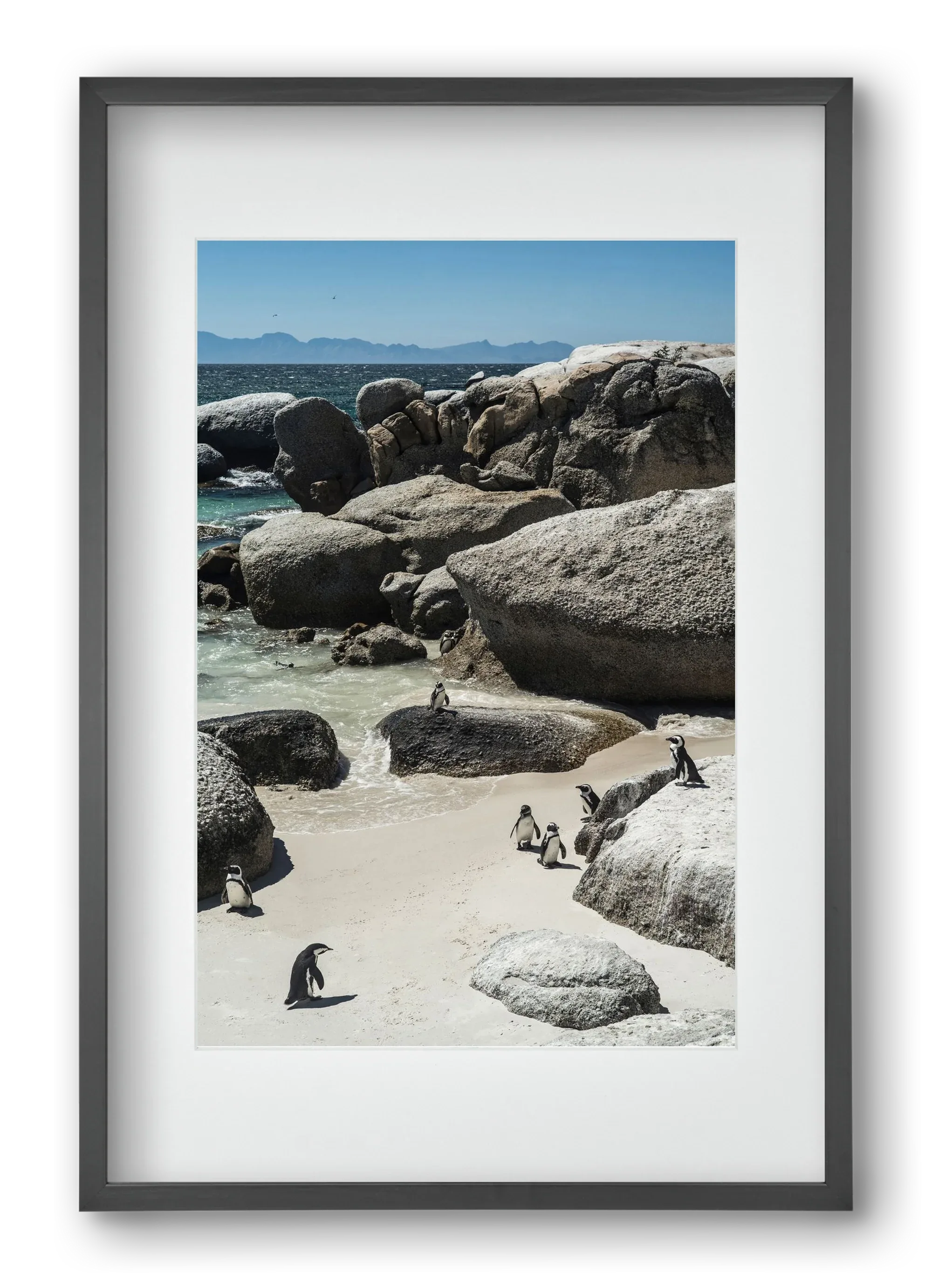 Boulders Beach - artbridge