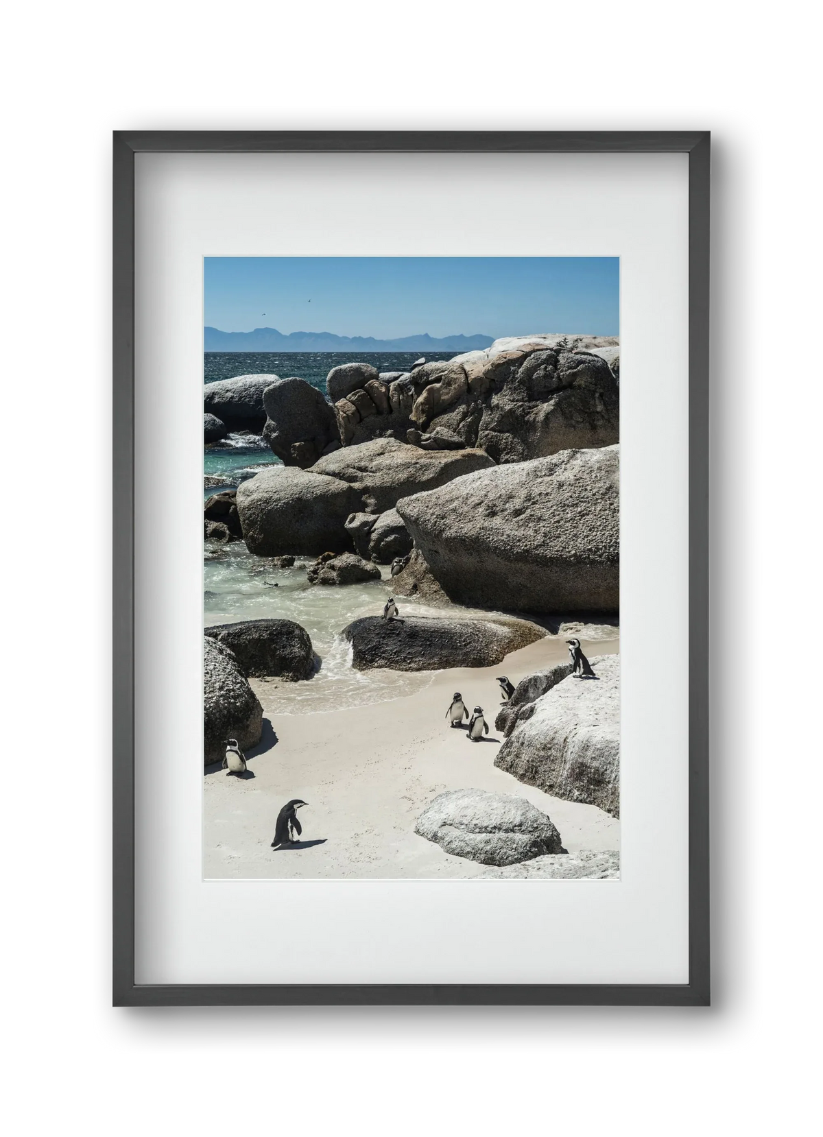 Boulders Beach - artbridge