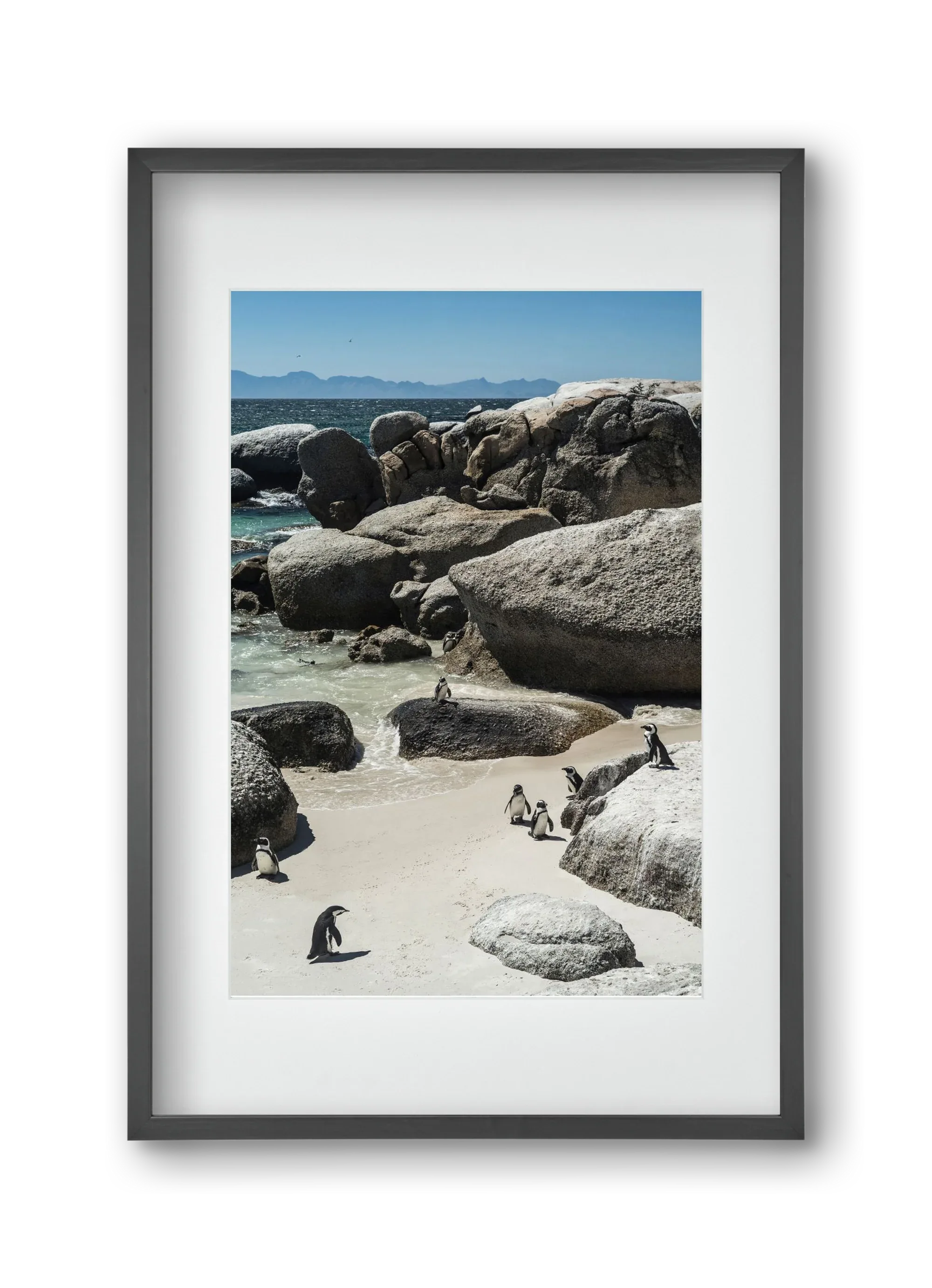 Boulders Beach - artbridge