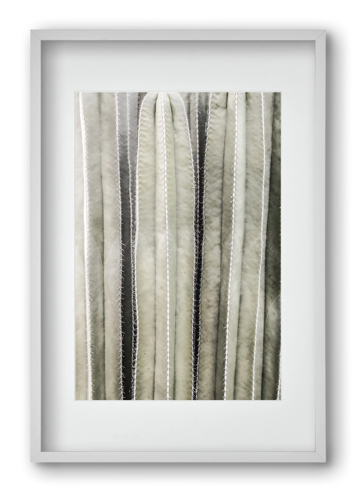 Cactiriver - artbridge