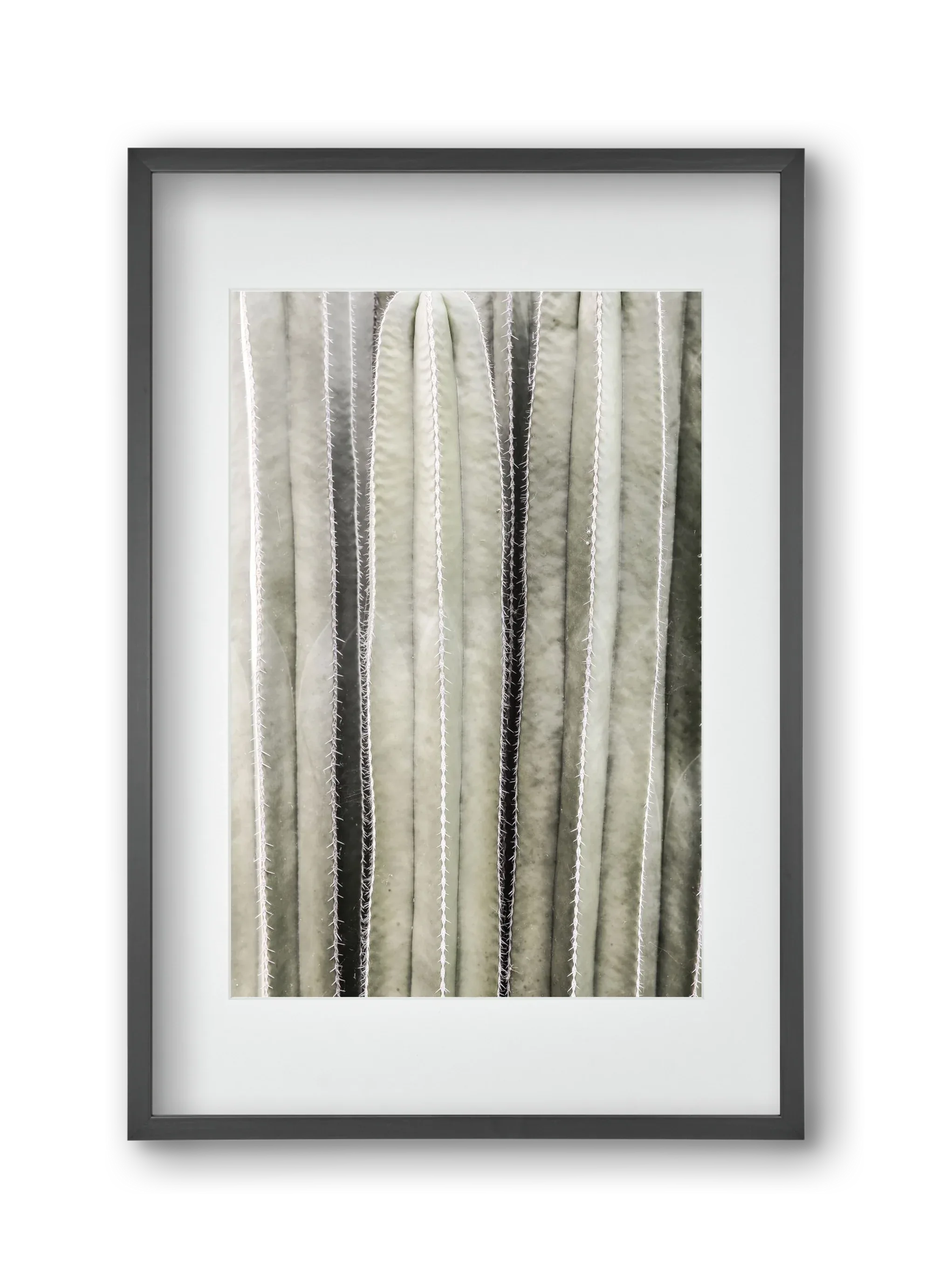 Cactiriver - artbridge