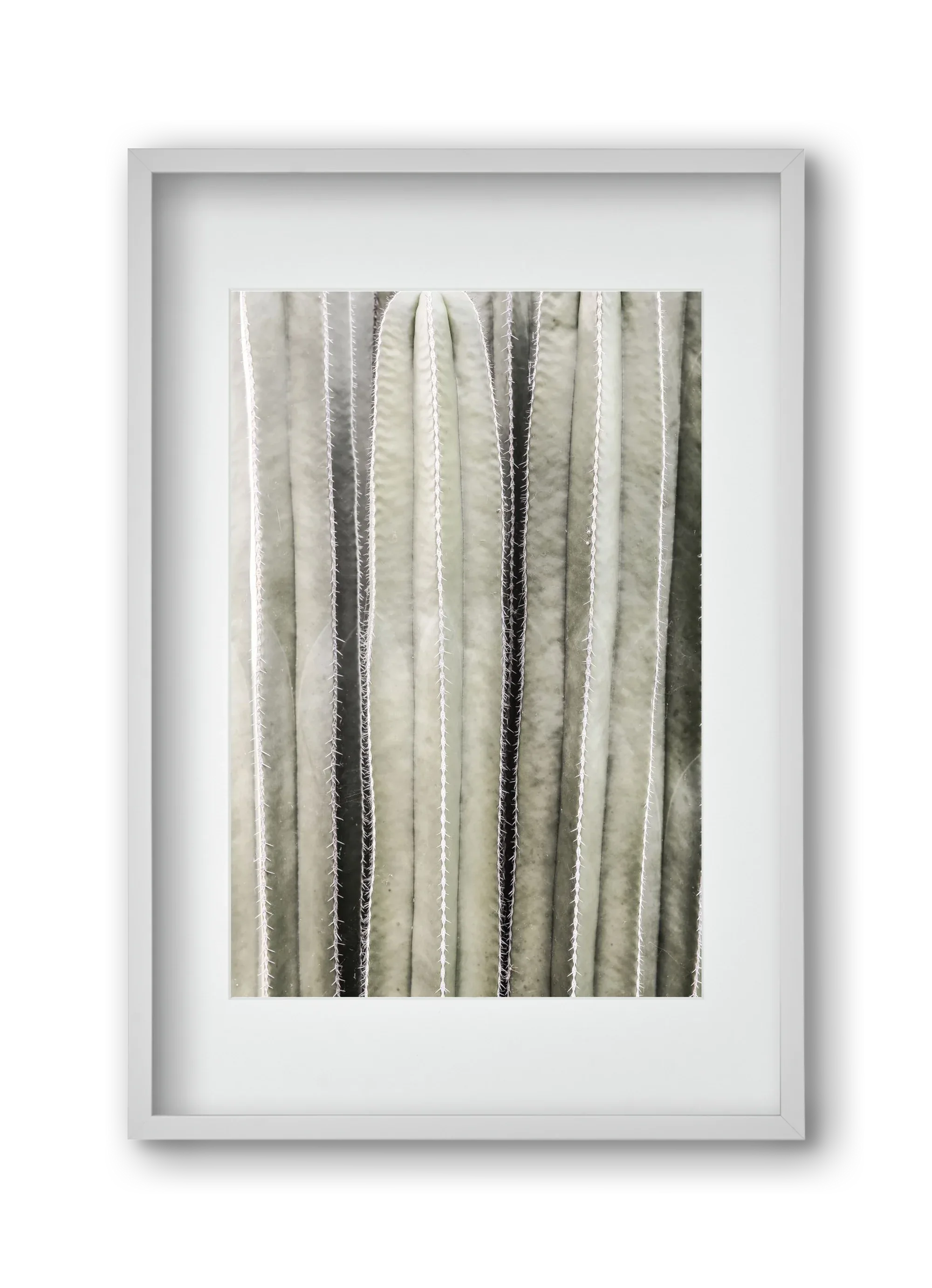 Cactiriver - artbridge