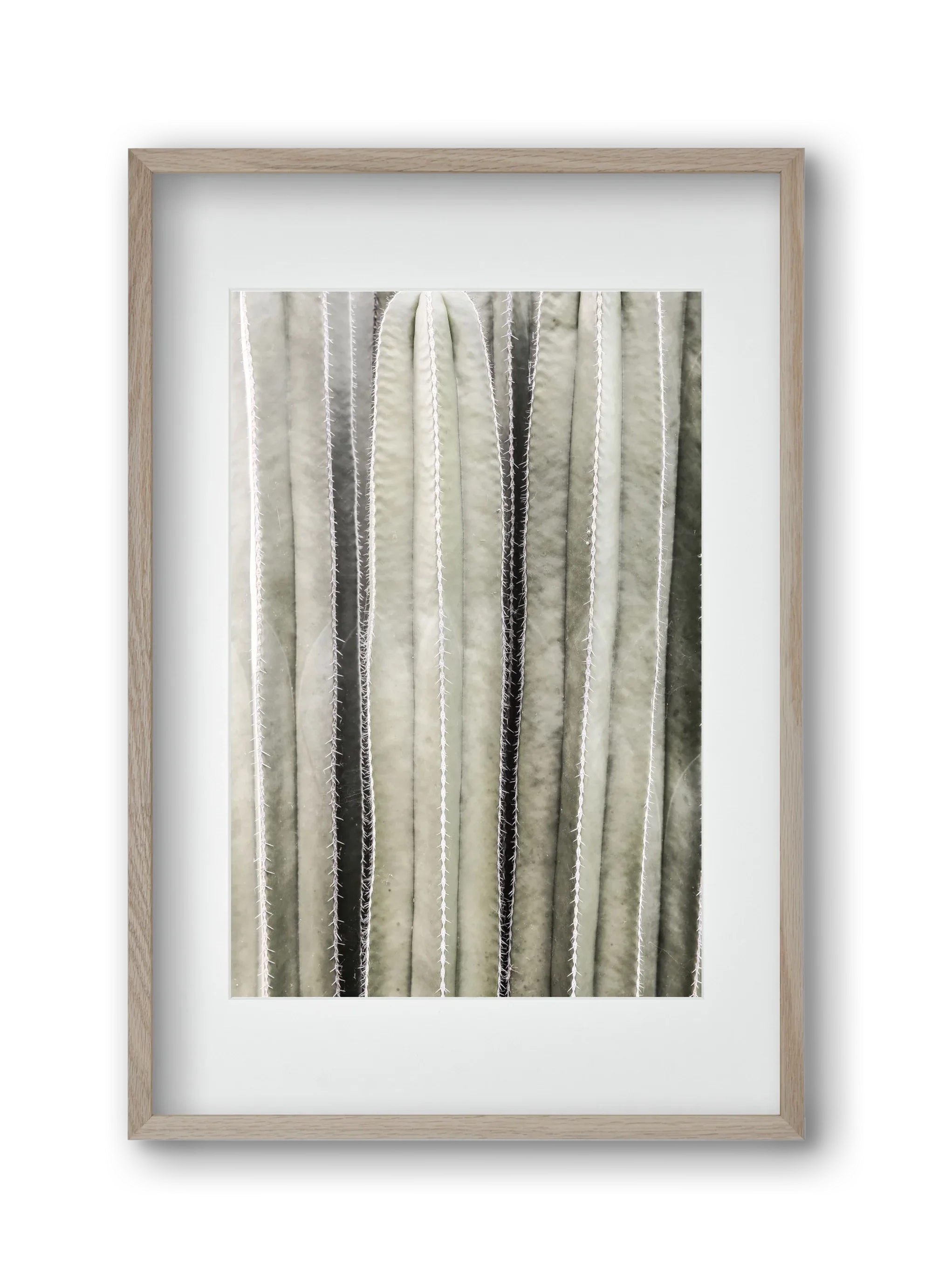 Cactiriver - artbridge