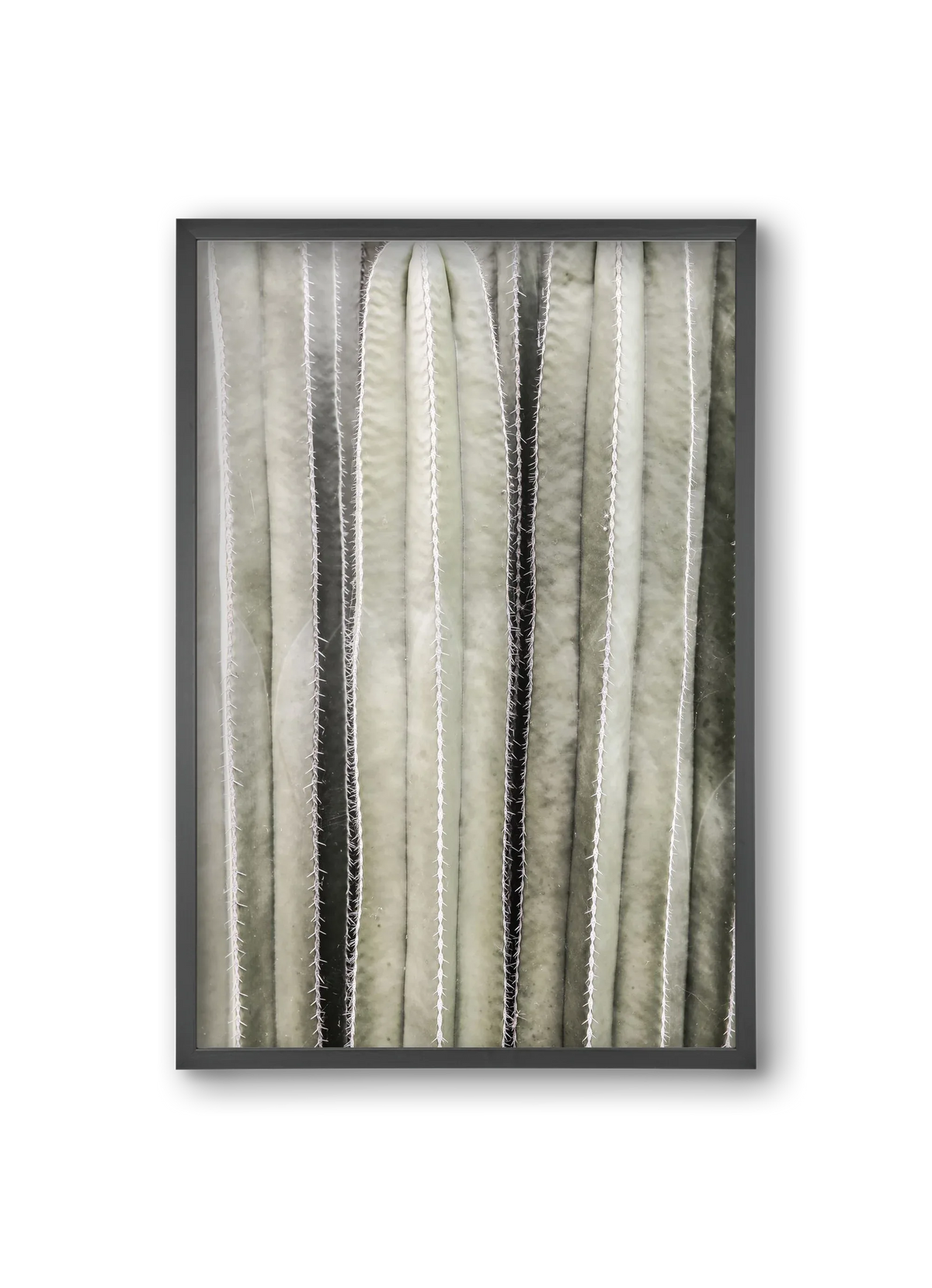 Cactiriver - artbridge