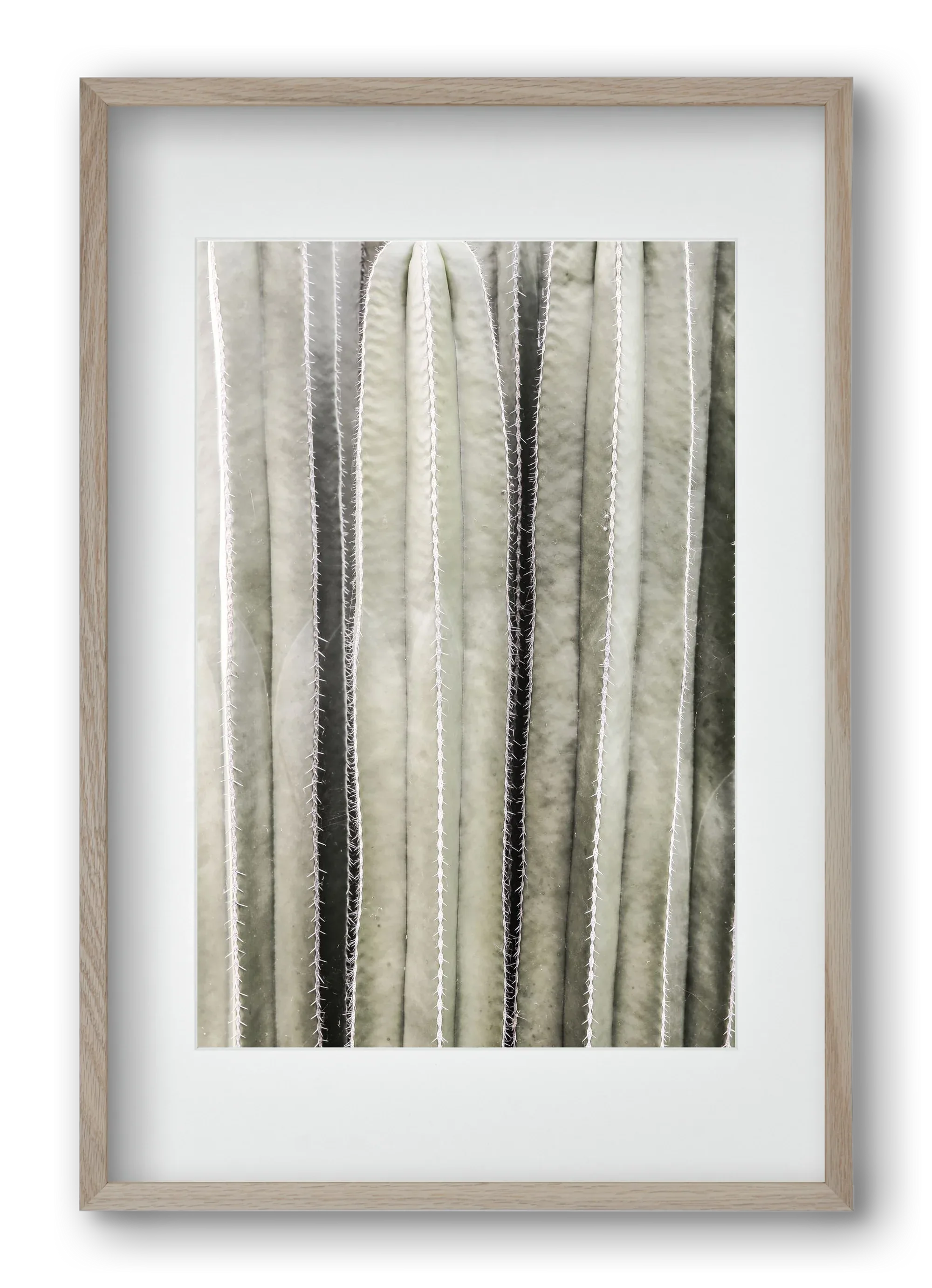 Cactiriver - artbridge