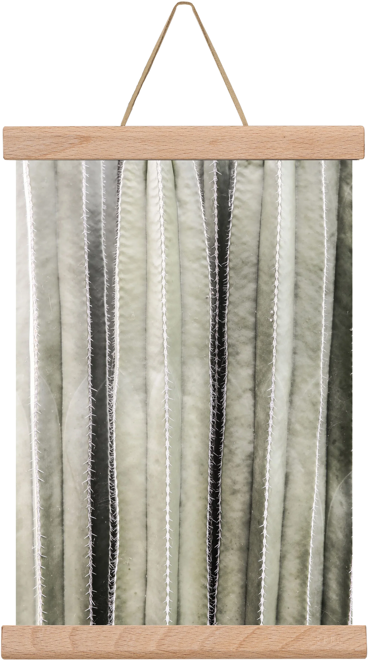 Cactiriver - artbridge