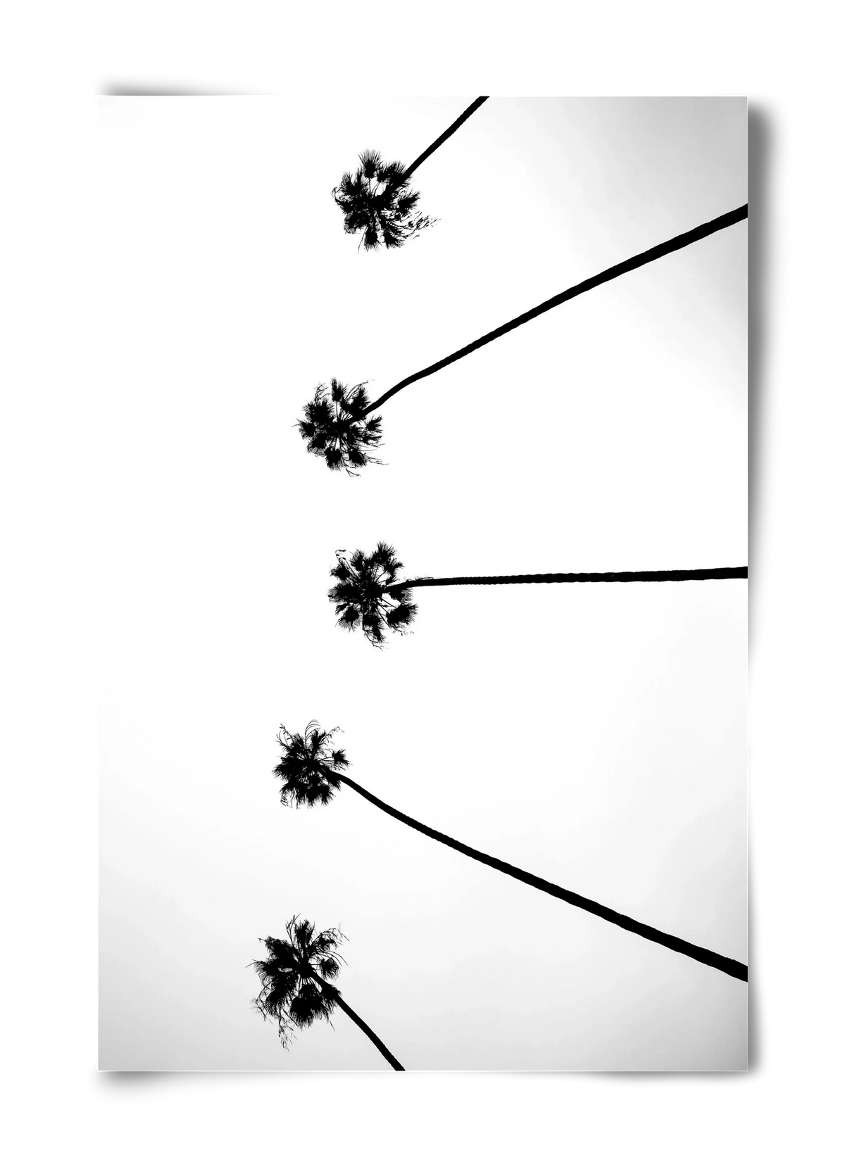 Cali Cathedrals - artbridge