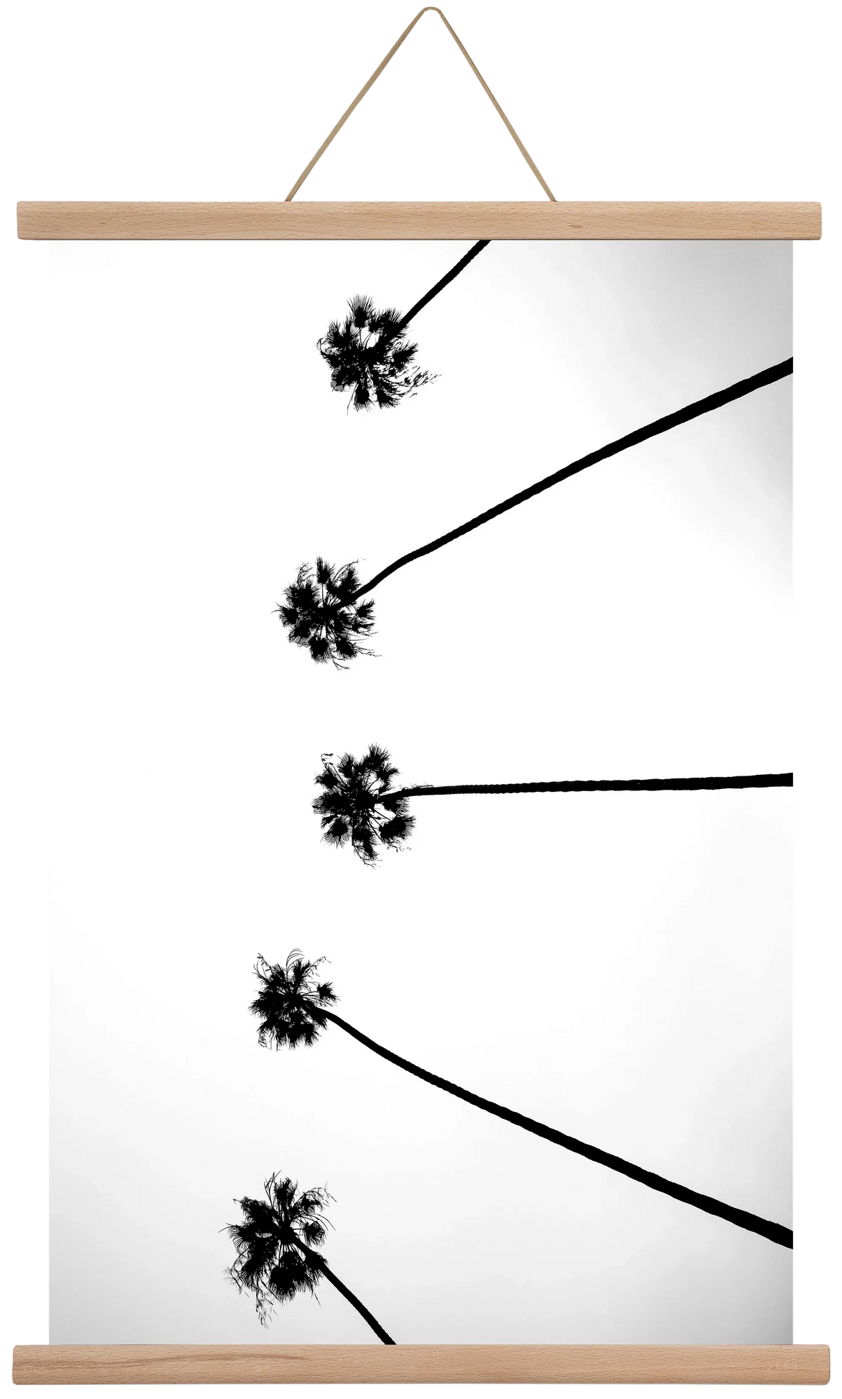 Cali Cathedrals - artbridge